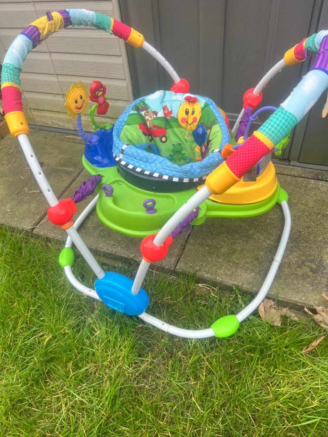 Baby Einstein Activity Jumper
