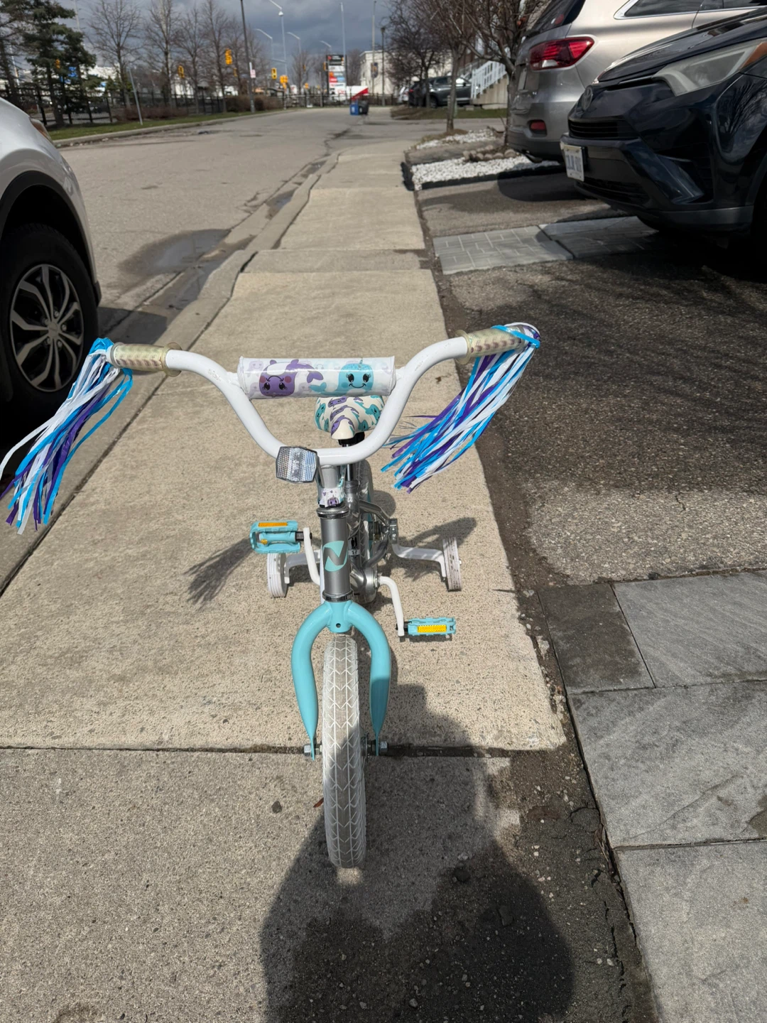 Kids' Silver and Blue Adventure Bike with Training Wheels - photo 4