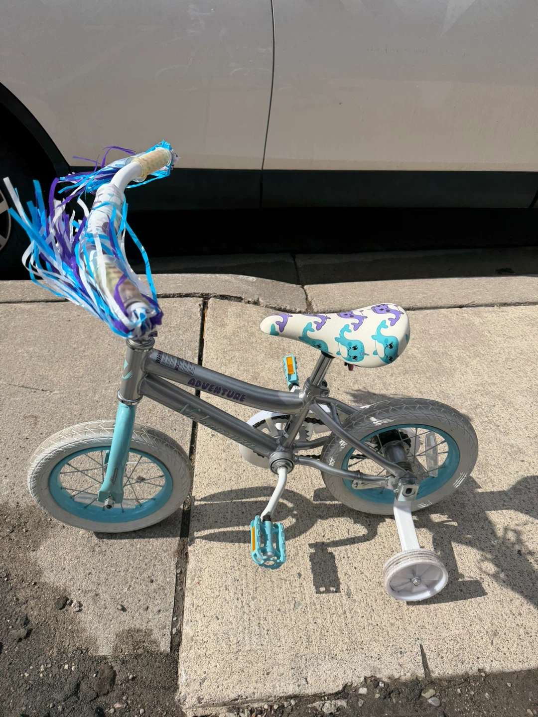 Kids' Silver and Blue Adventure Bike with Training Wheels - photo 2