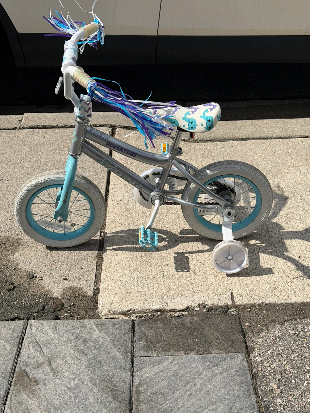 Kids' Silver and Blue Adventure Bike with Training Wheels