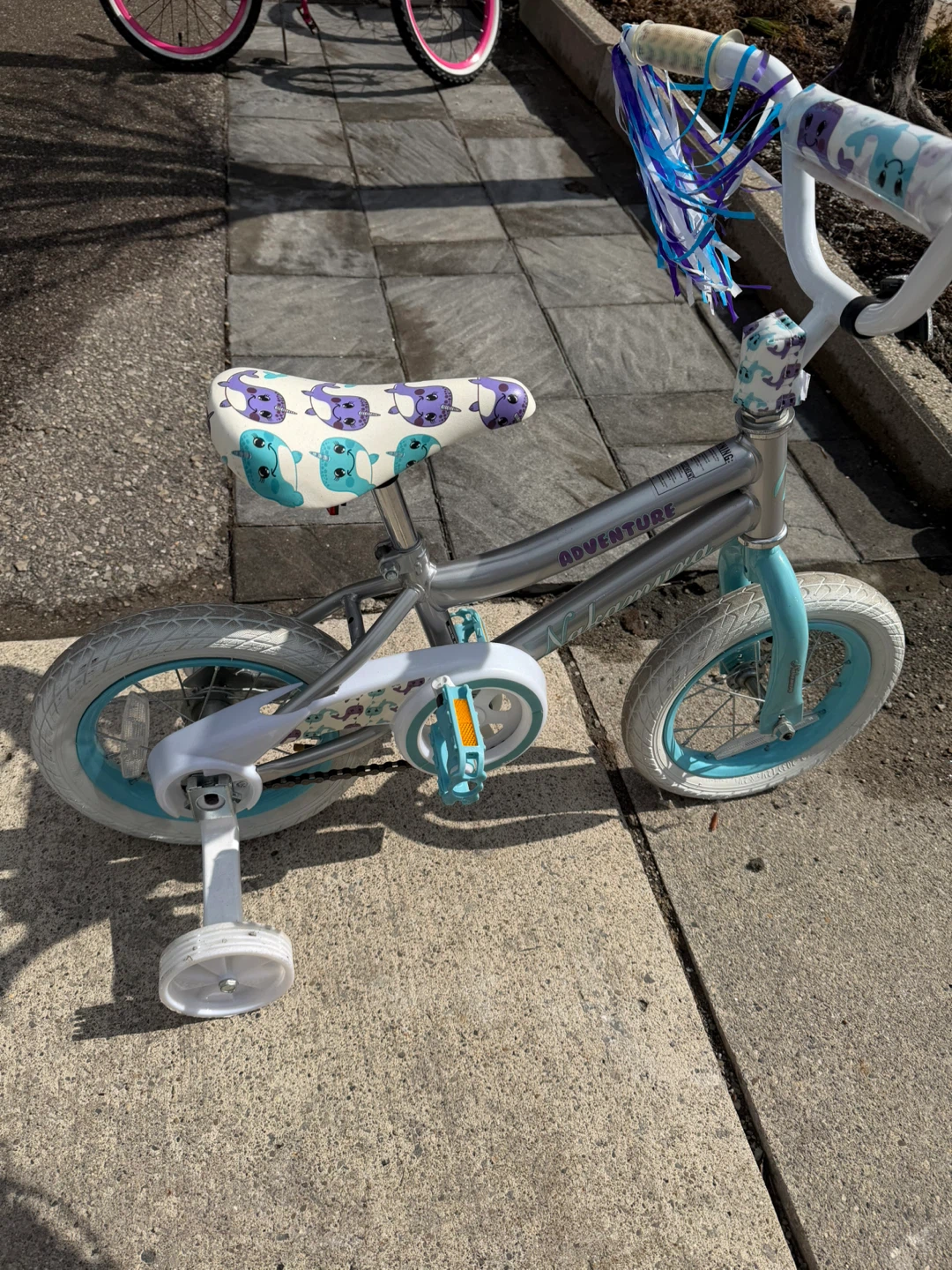 Kids' Silver and Blue Adventure Bike with Training Wheels - photo 3