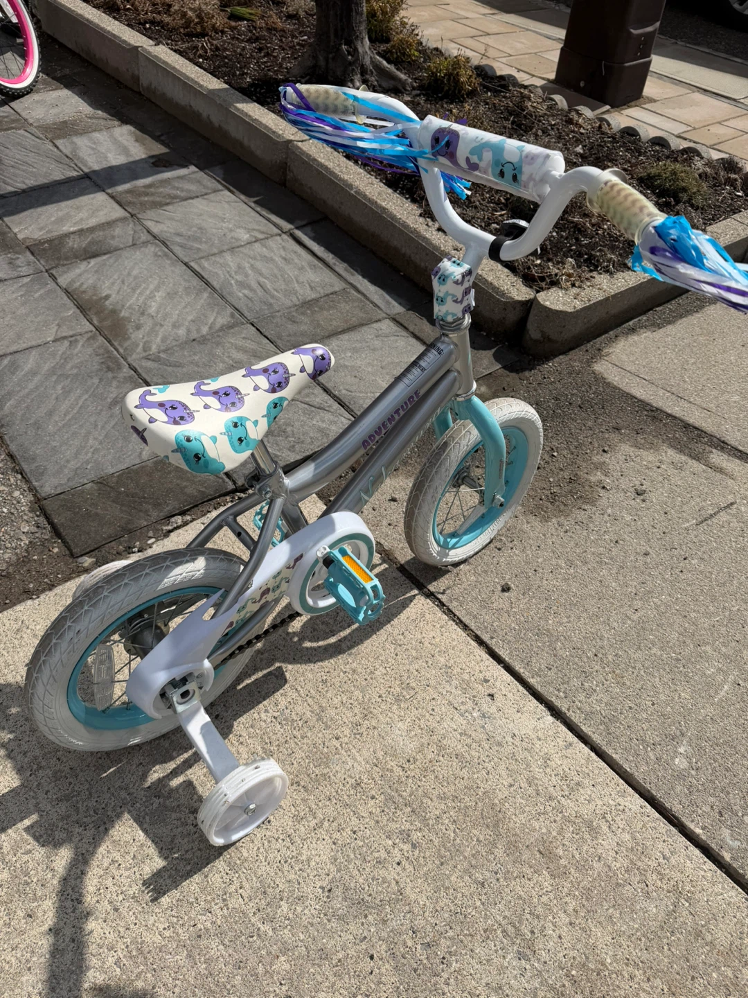 Kids' Silver and Blue Adventure Bike with Training Wheels - photo 5