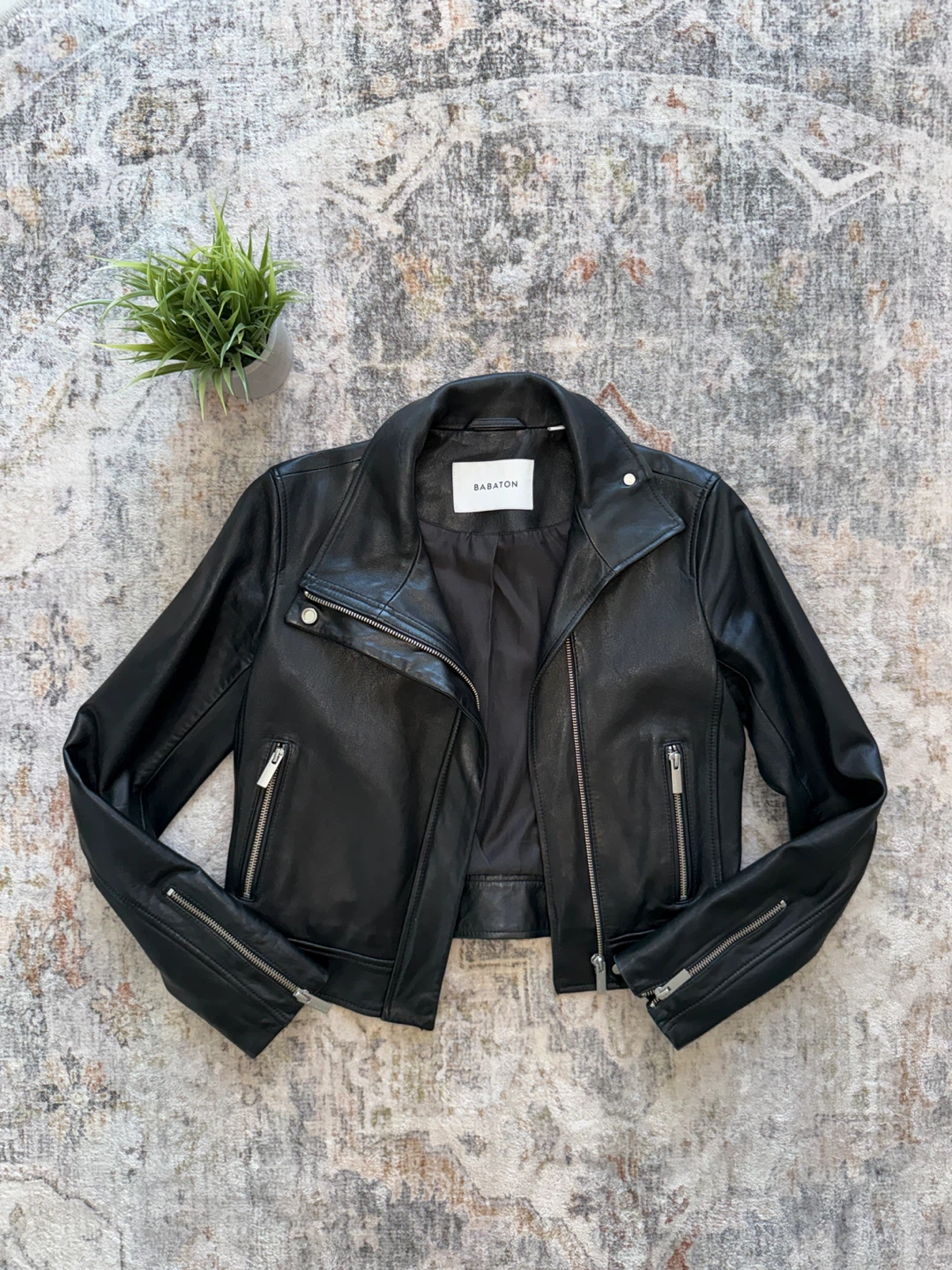 Aritzia Babaton Jagger Leather Moto Jacket