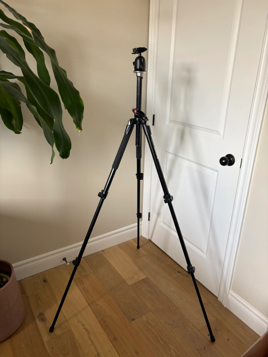 Manfrotto 190XPROB Kit with 496RC2 Ball Head Tripod - photo 4