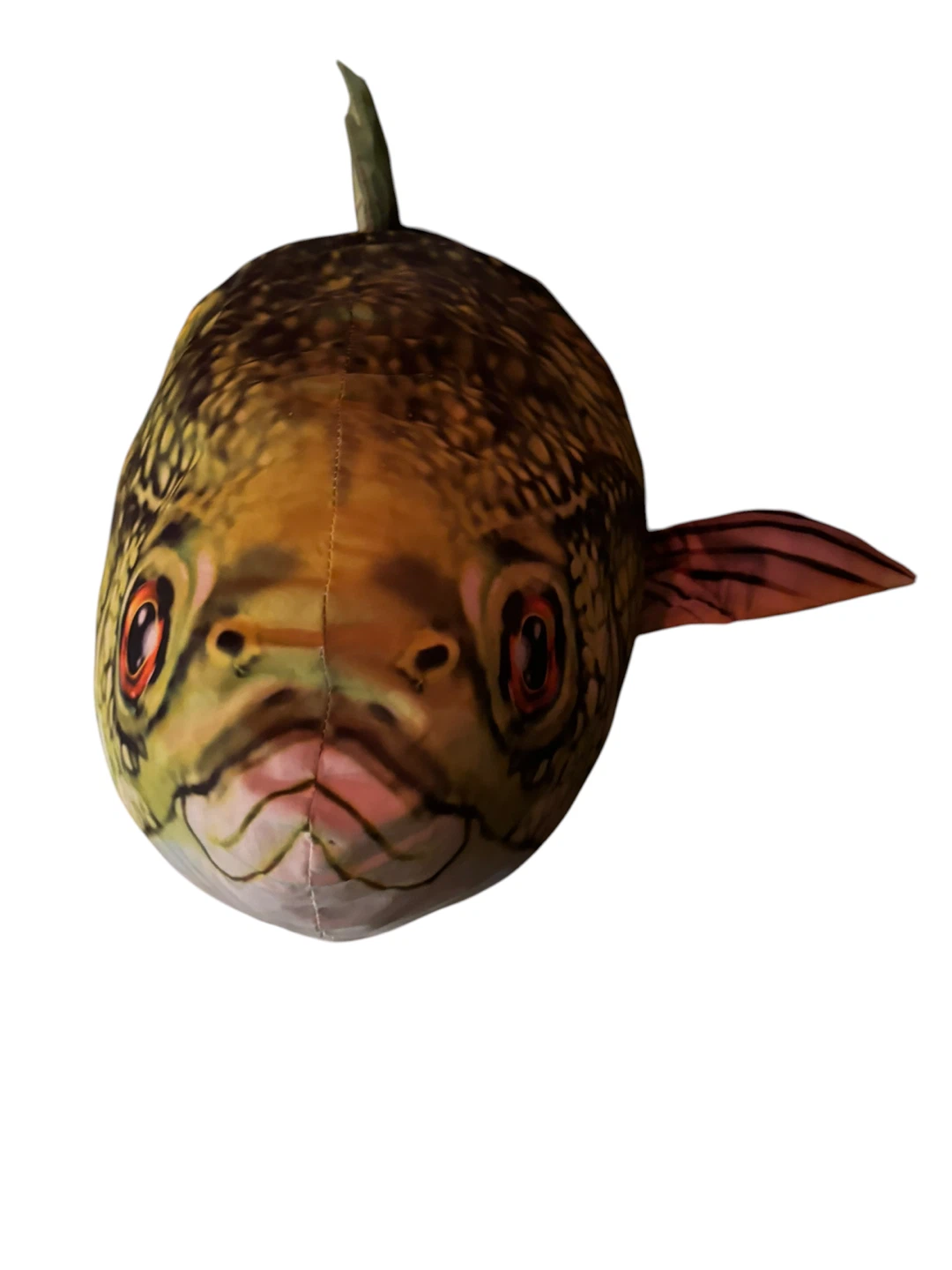 Realistic Plush Fish pillows - photo 4