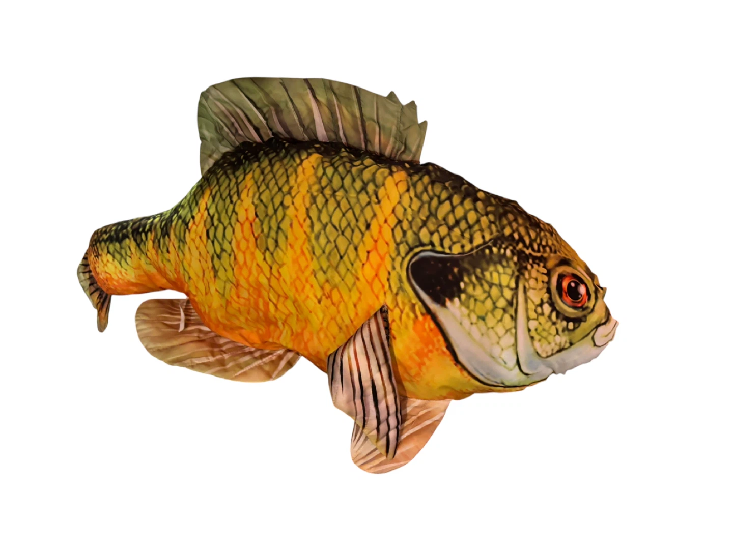 Realistic Plush Fish pillows - photo 5
