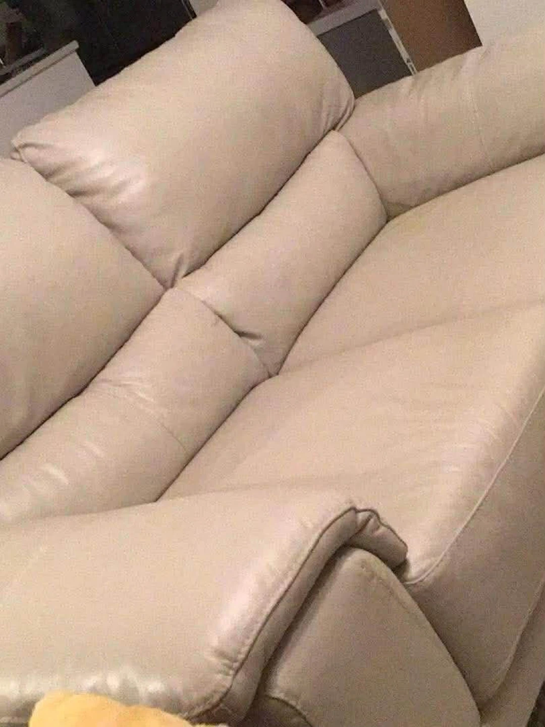 Leather Sofa