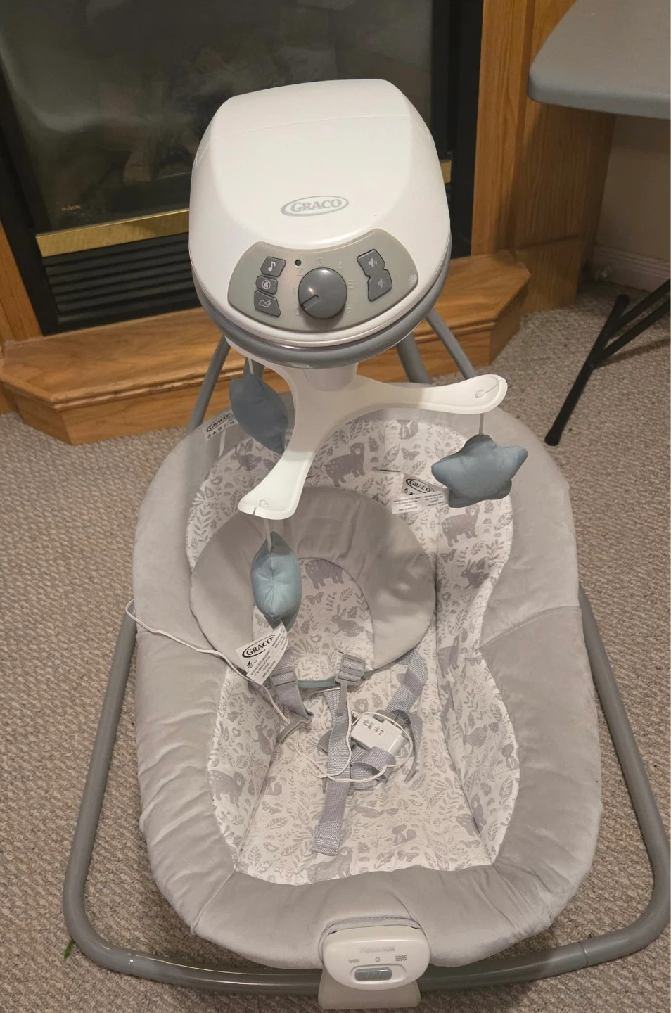 Graco Baby Swing