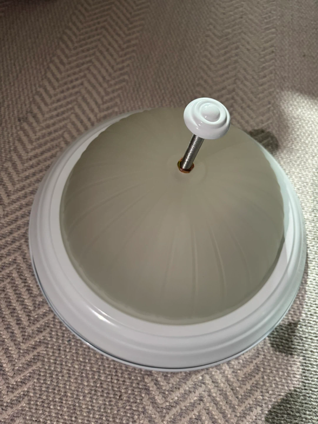 2 Flush Mount Ceiling Light Fixture