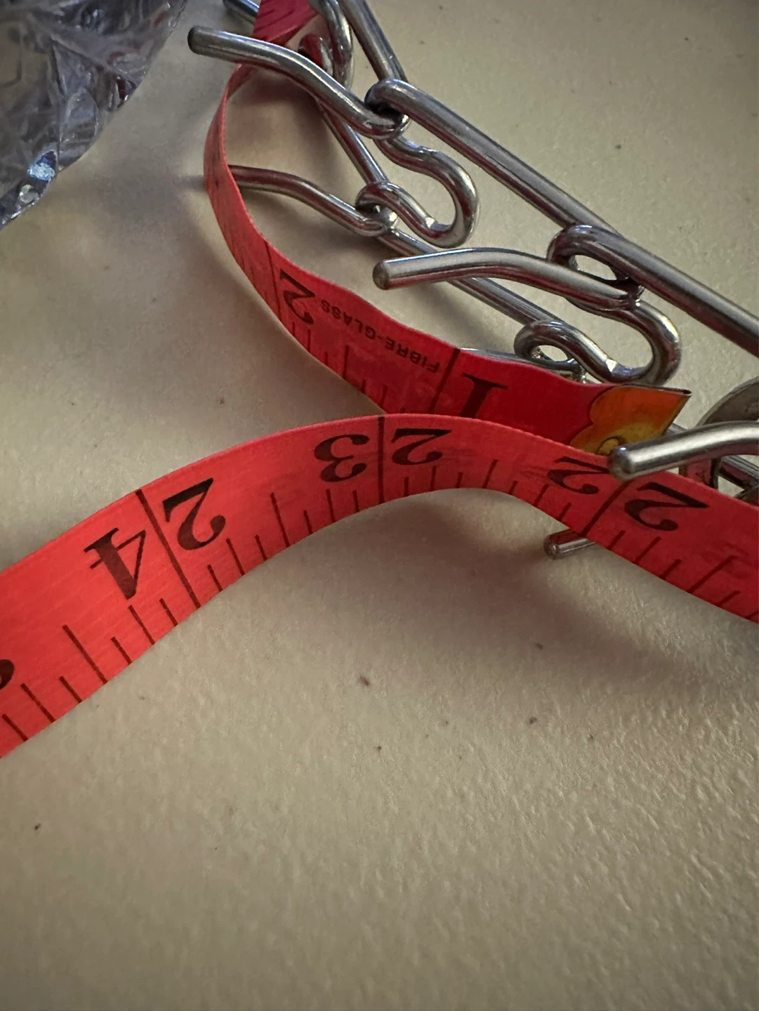 2 Pronged Dog Training Collar
