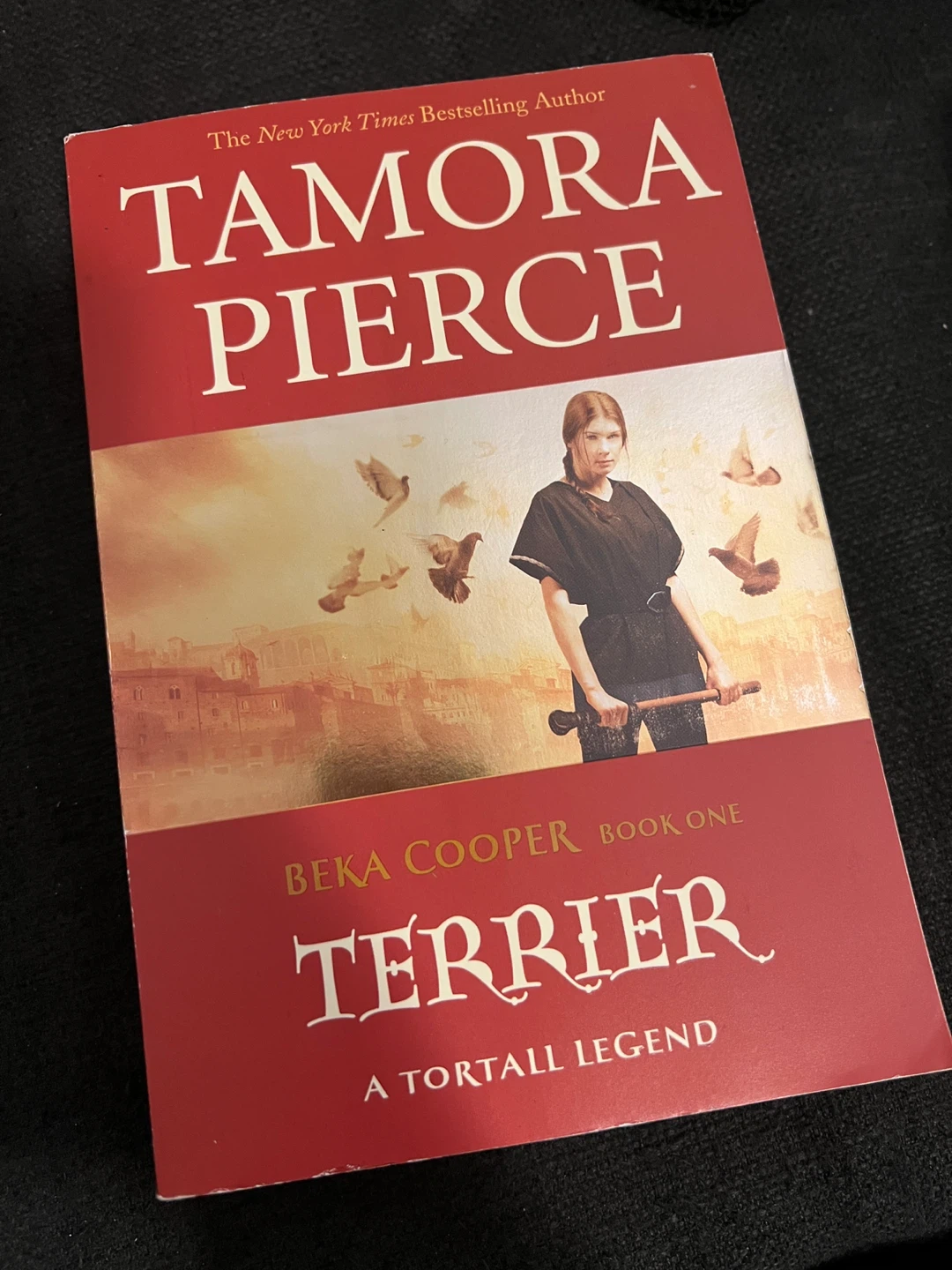 Set of Tamora Pierce books - photo 2