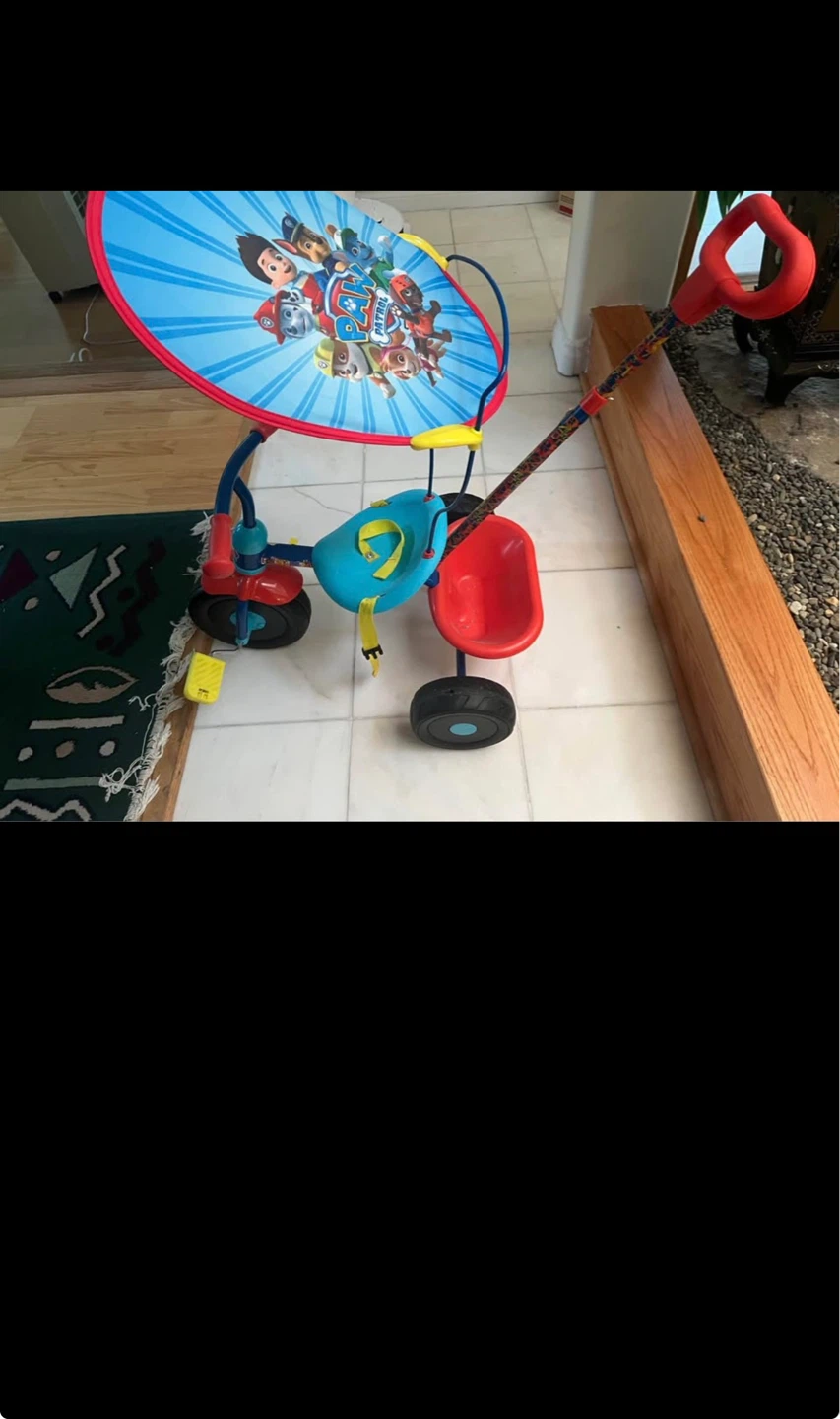 Paw Patrol Kids Tricycle with Canopy