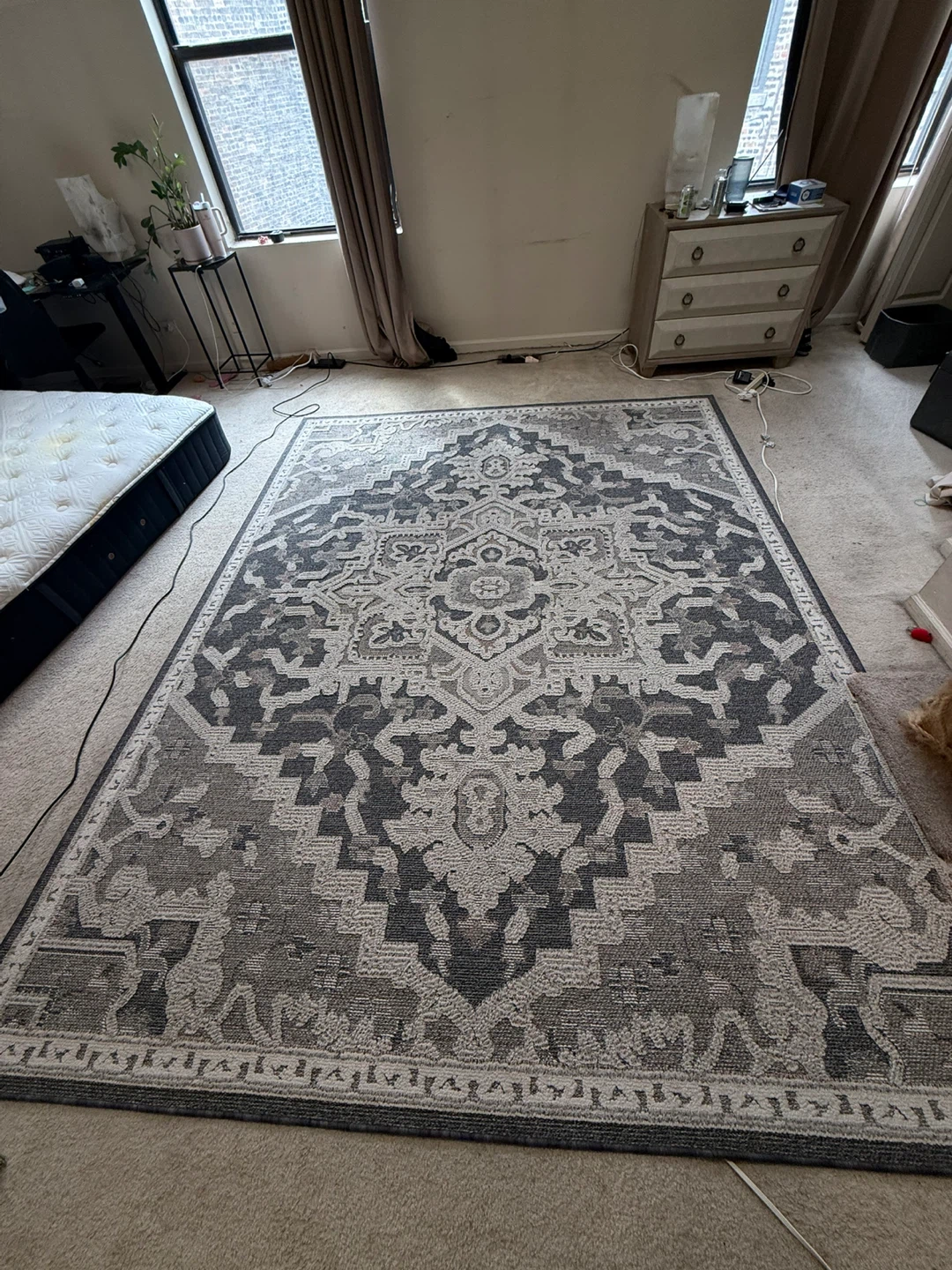 Nautica Home Indoor Area Rug 7'10" x 10'