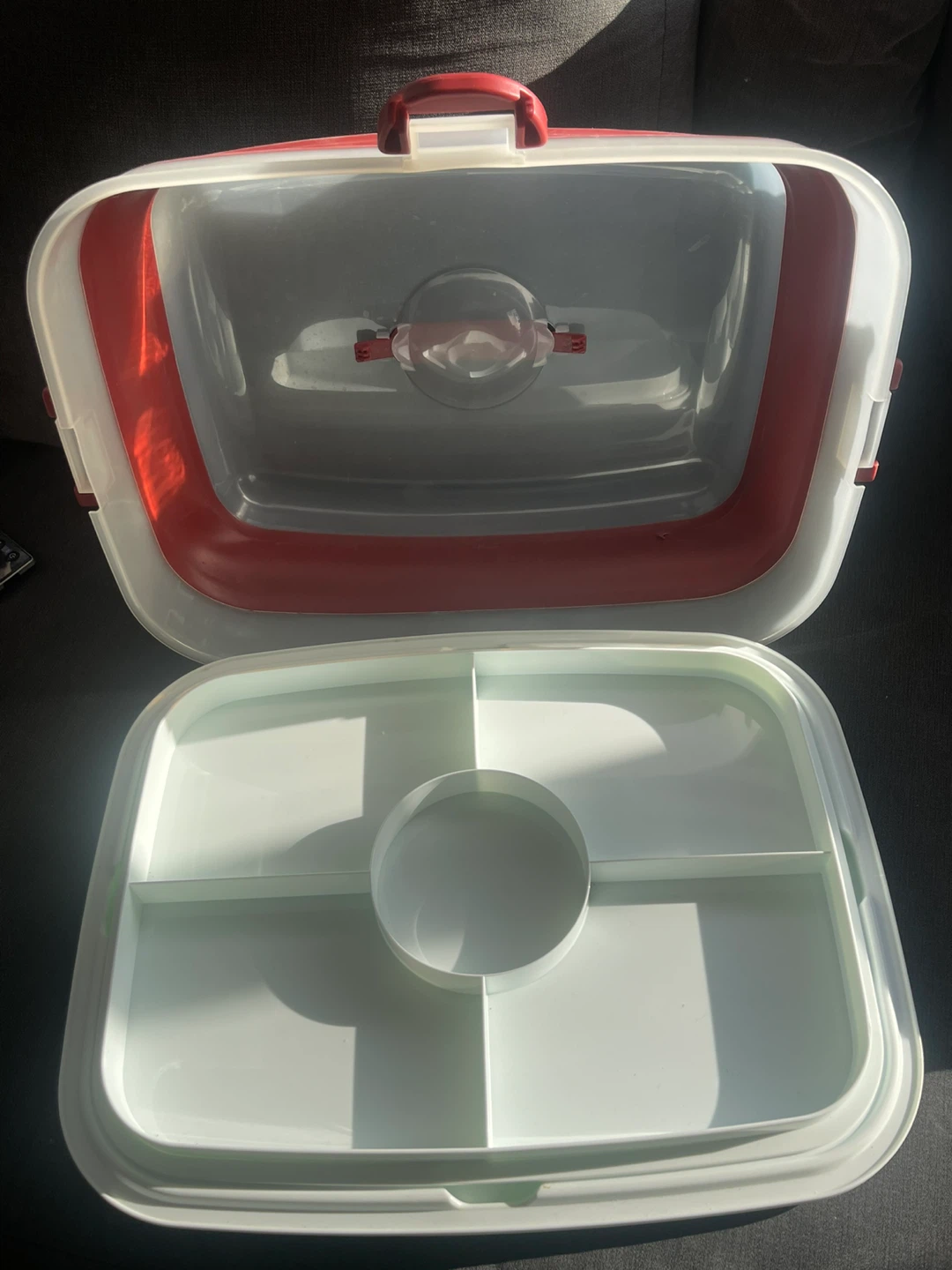 Rubbermaid fruit/veggie/ snack carrier