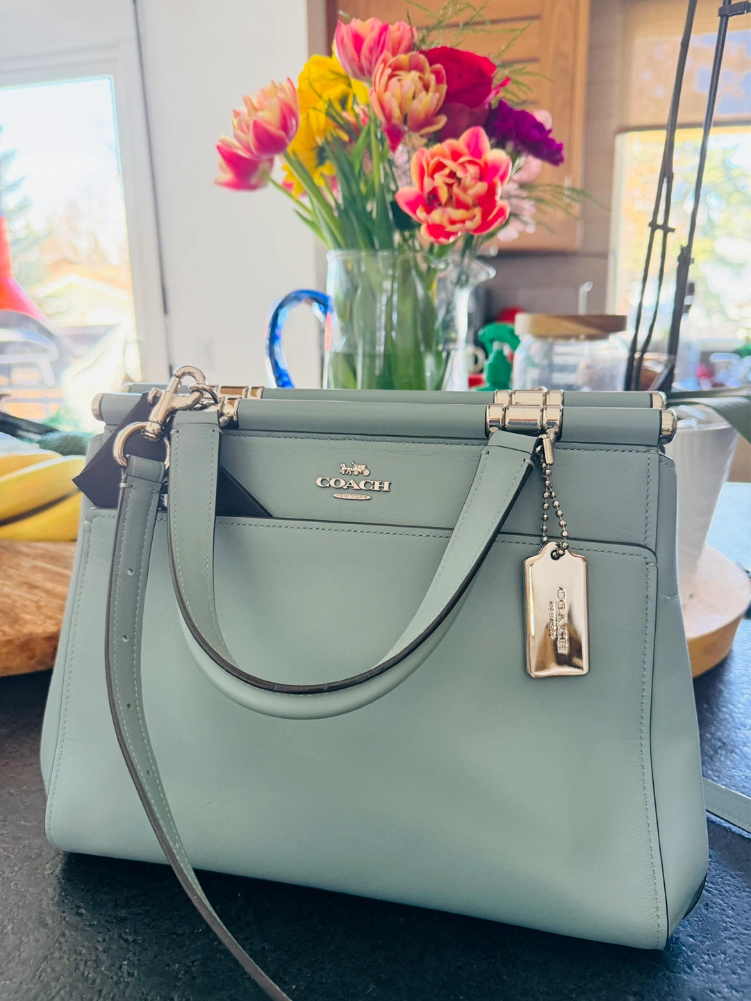 Coach Satchel Handbag