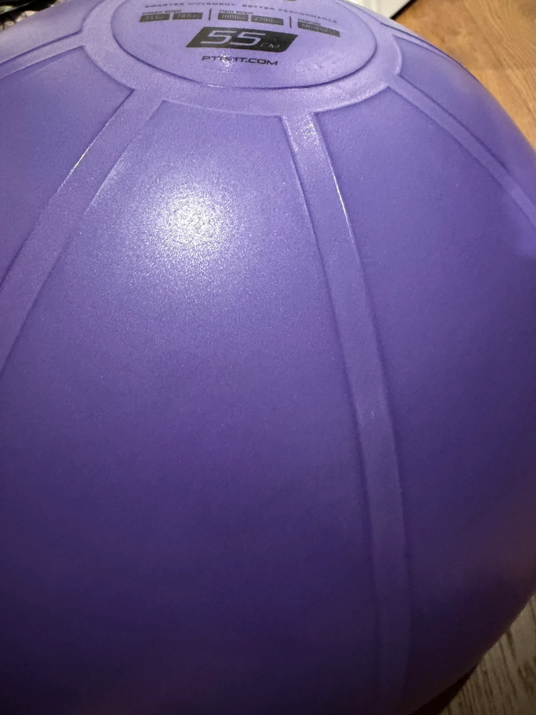 PTP 55cm Stability Ball - photo 2