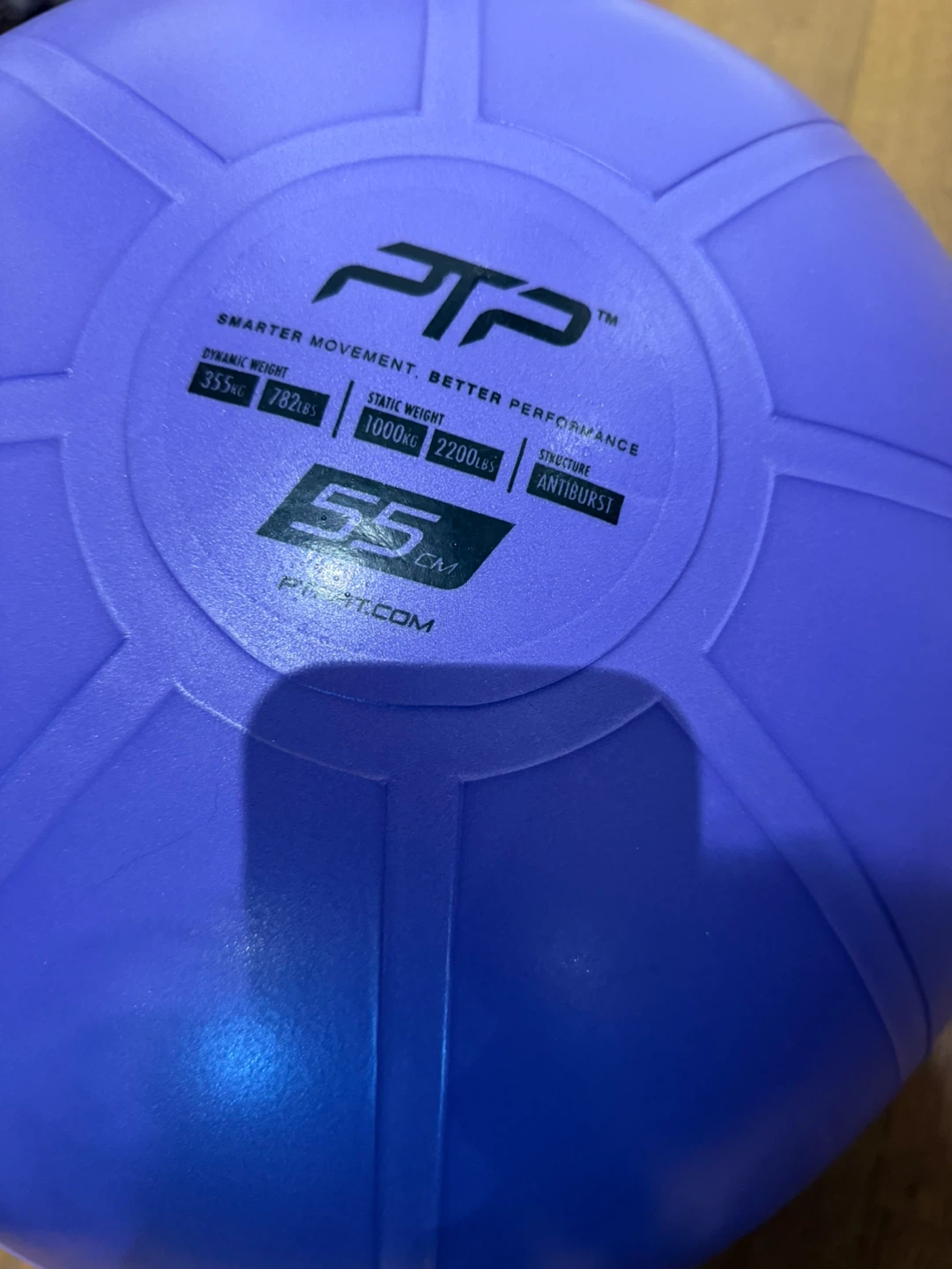 PTP 55cm Stability Ball