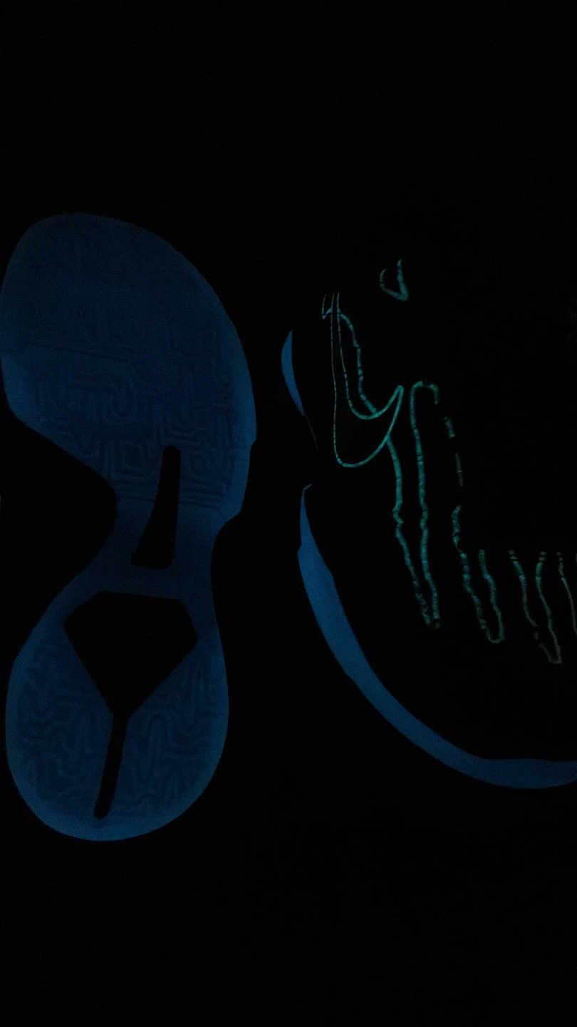 Kobe 5 X-ray - photo 5