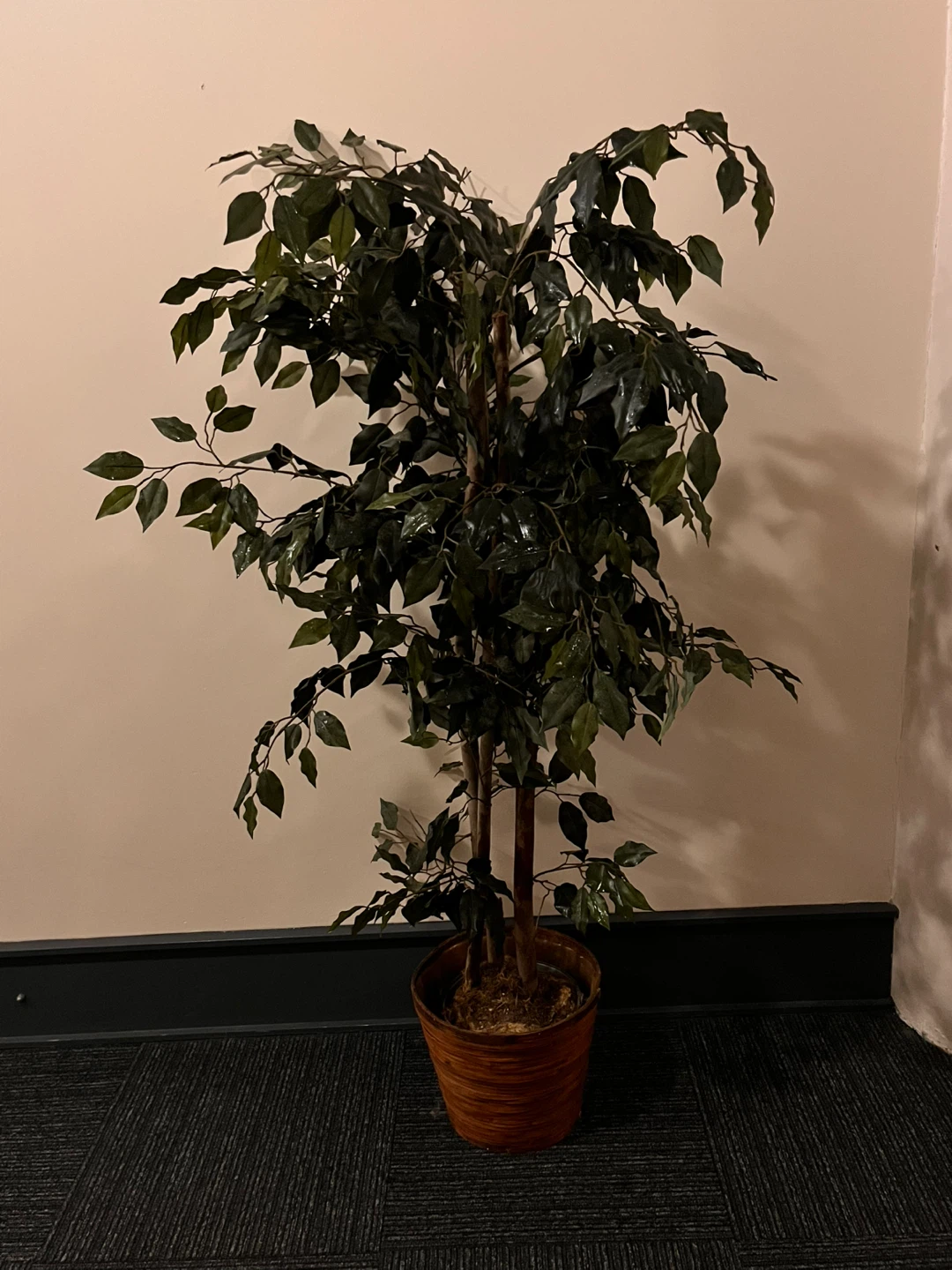 5 F Artificial Ficus Tree Plant in Pot