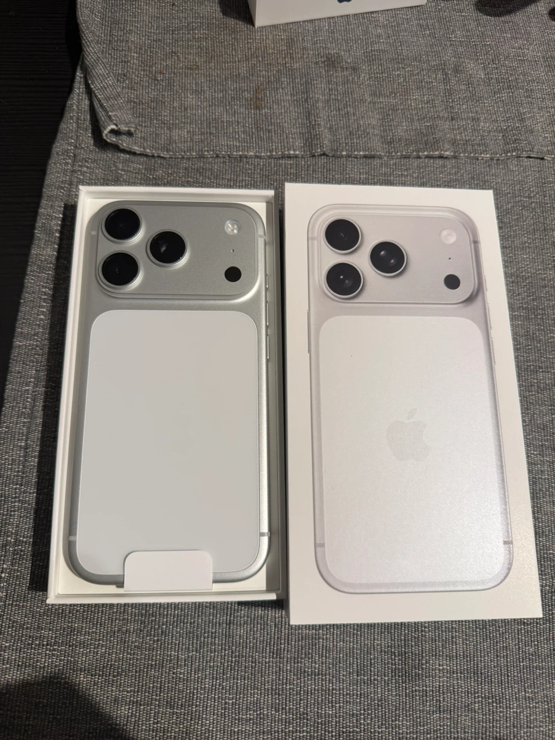 iPhone 17 Pro Silver