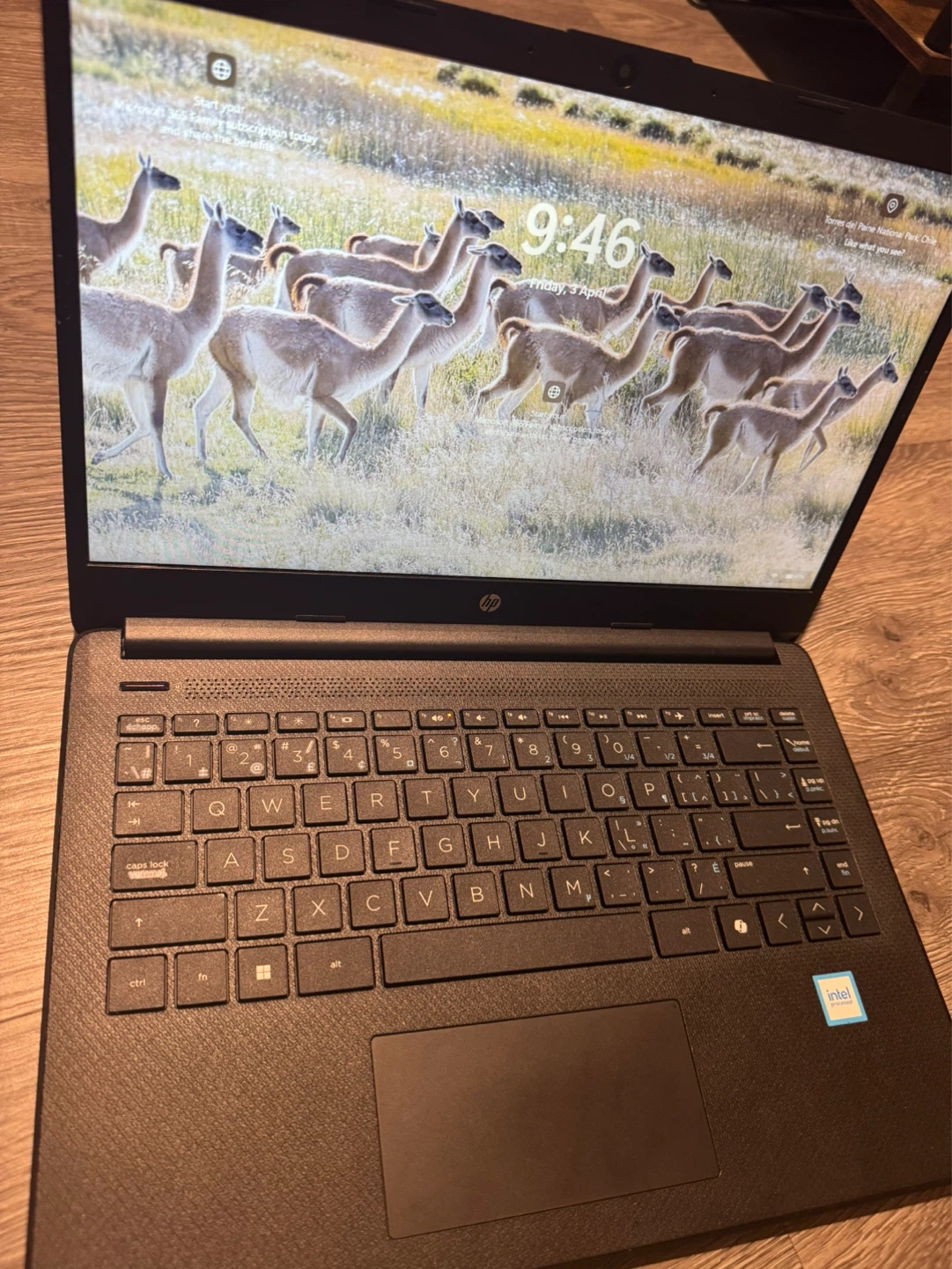 HP Laptop 14" Windows 11 - photo 4