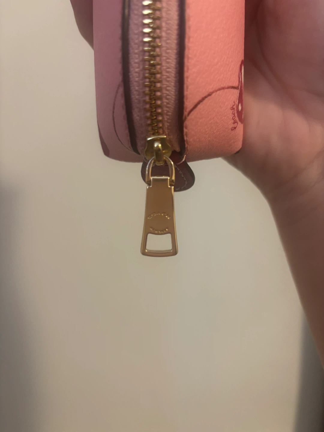 Coach Cherry Print Pencil Case - photo 5