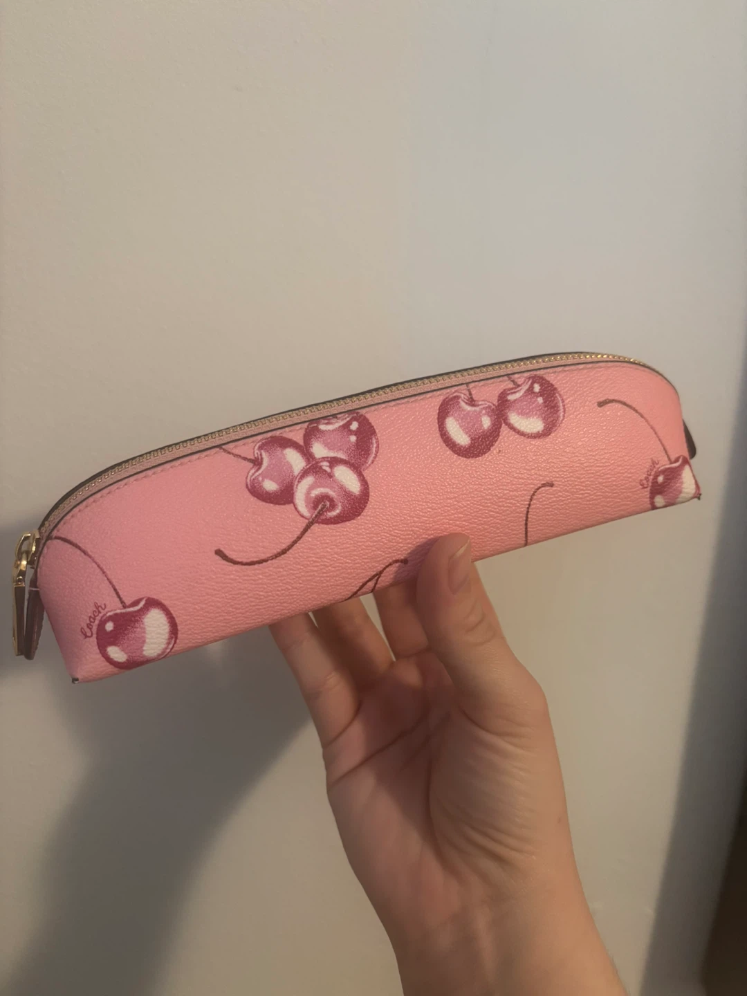 Coach Cherry Print Pencil Case