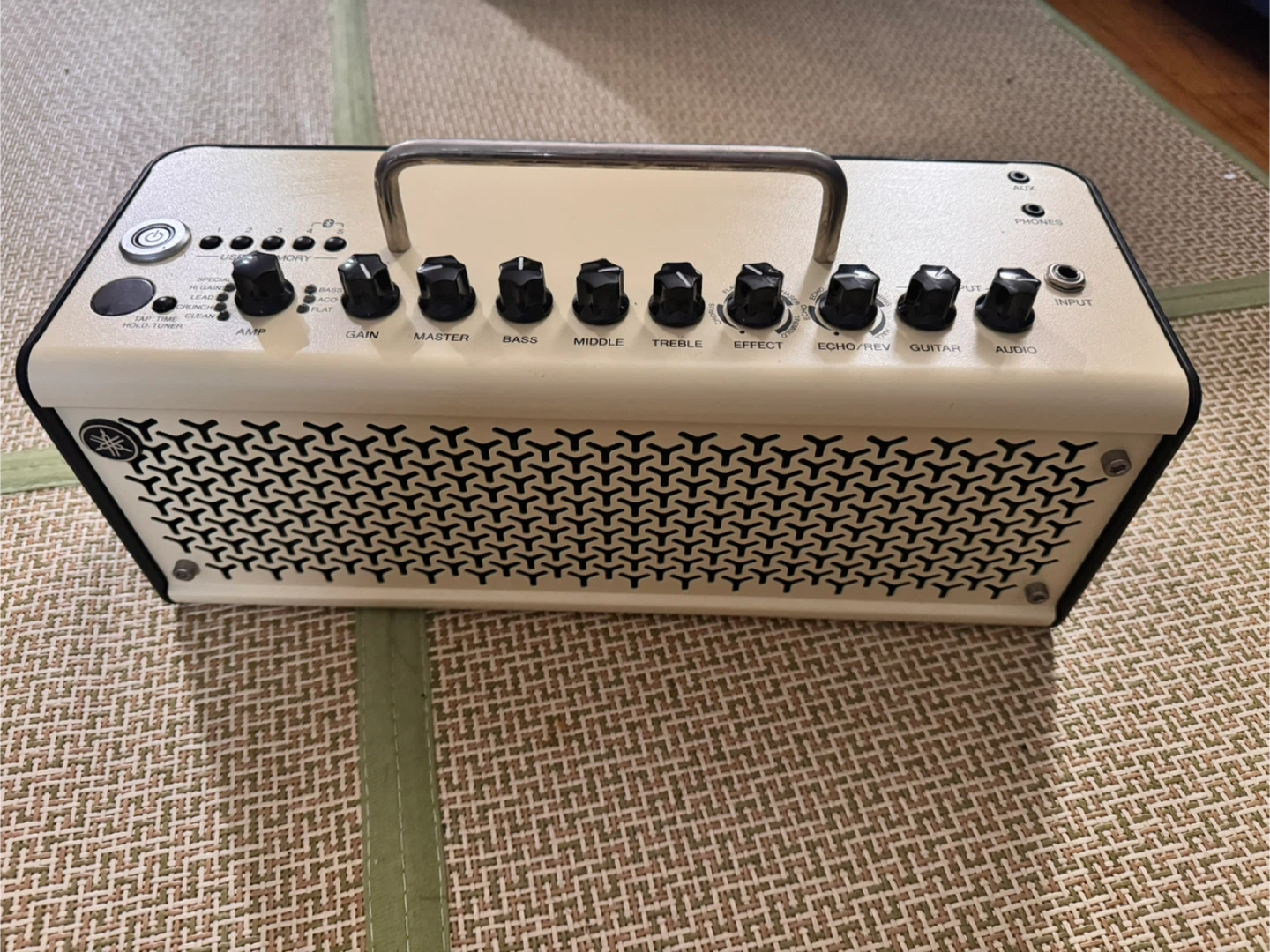 Yamaha THR10ii guitar amp with case
