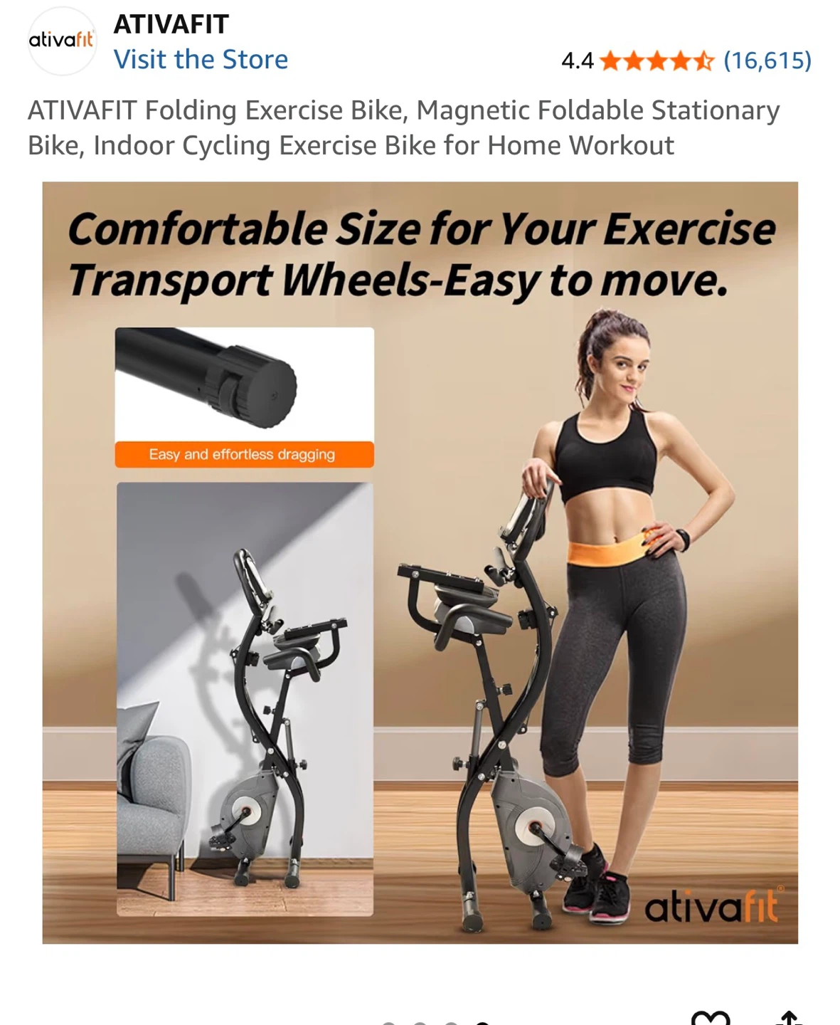 ATIVAFIT Folding Magnetic Exercise Bike with the Mat