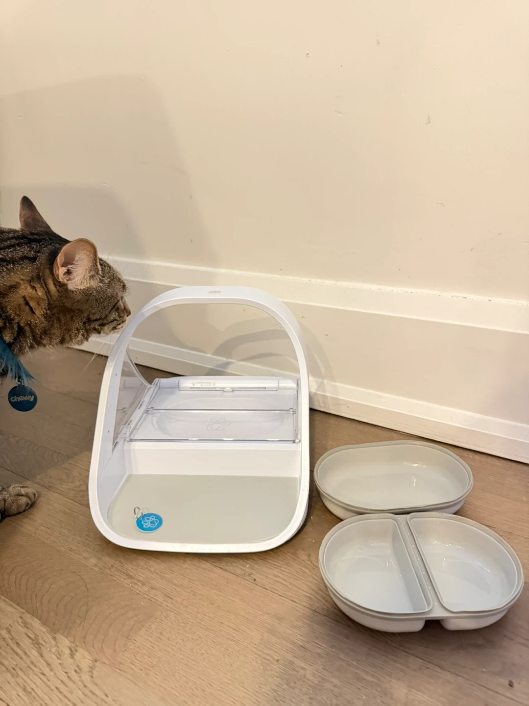 Two Microchip Pet Feeder