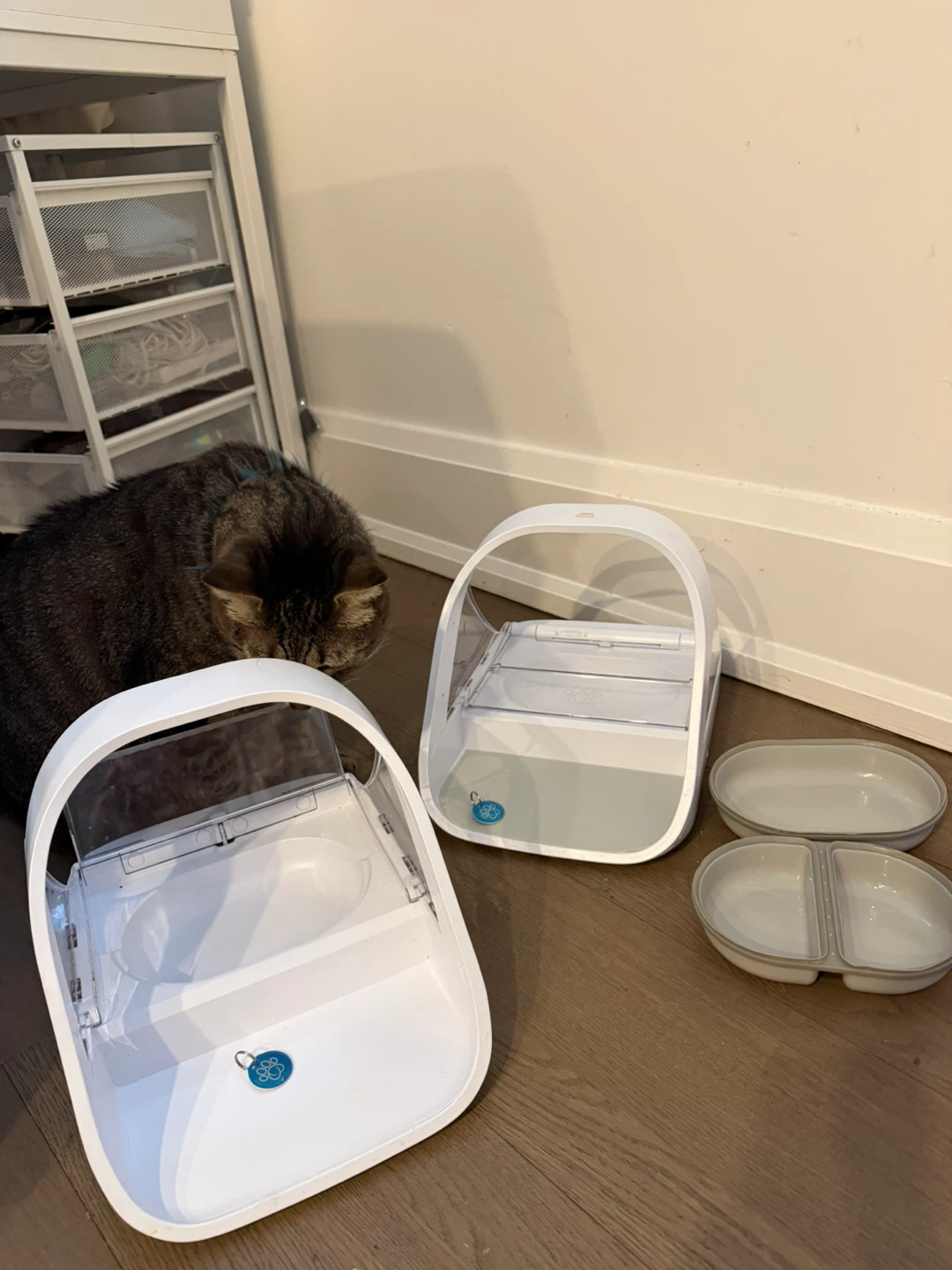 Two Microchip Pet Feeder - photo 2