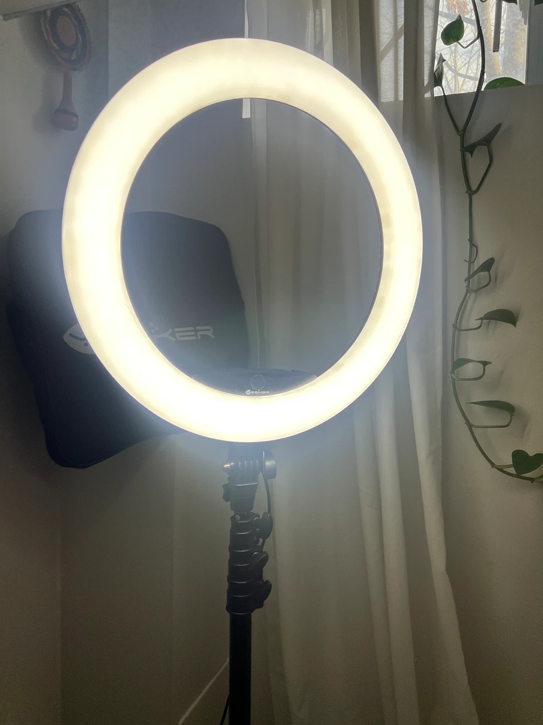 ESKER Ring Light with Tripod and Bag - photo 5