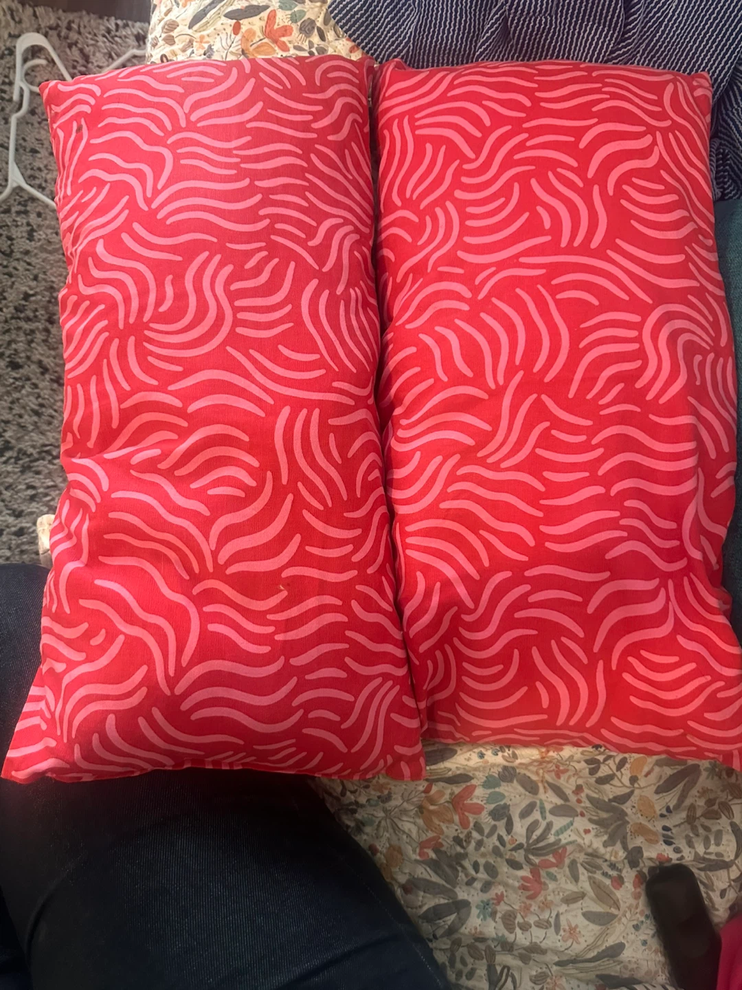 Pair of Red Throw Pillows