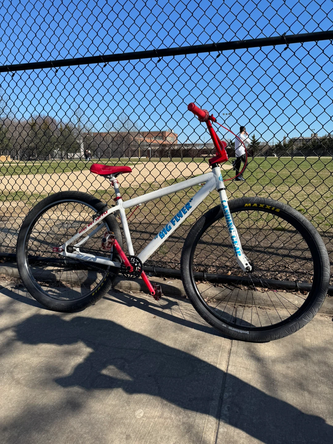 SE Big Flyer Bicycle