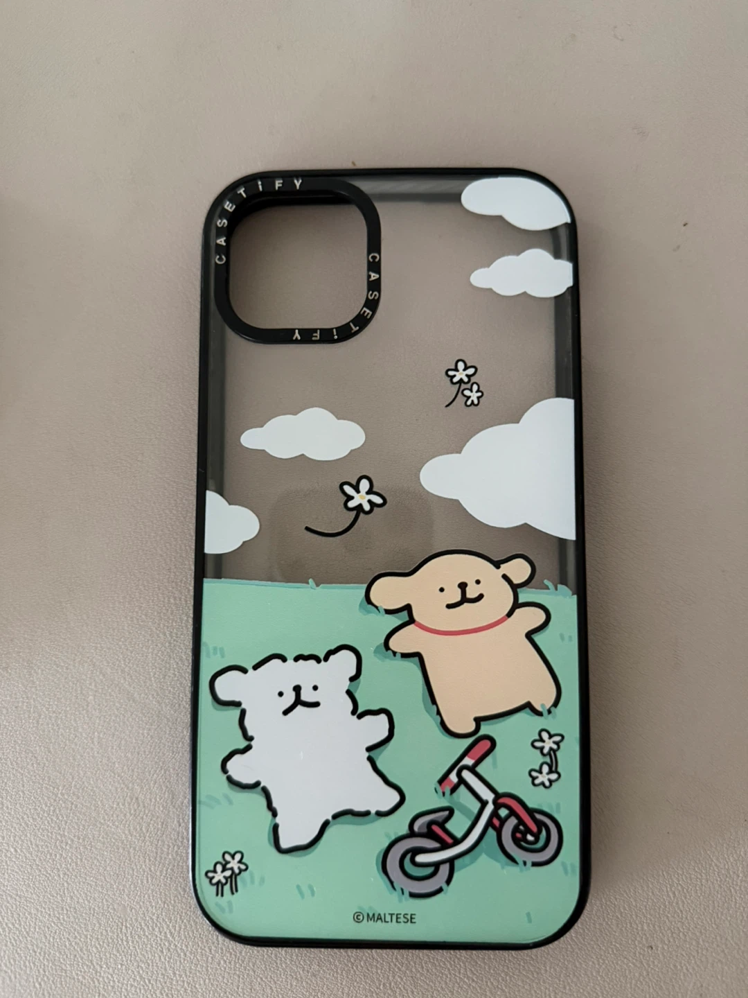 iPhone Cases - iPhone 15 plus - photo 5