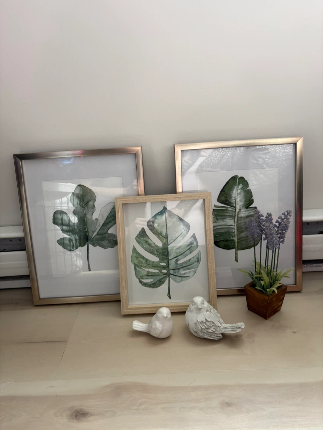 Set of 3 Botanical Leaf Prints with Frames