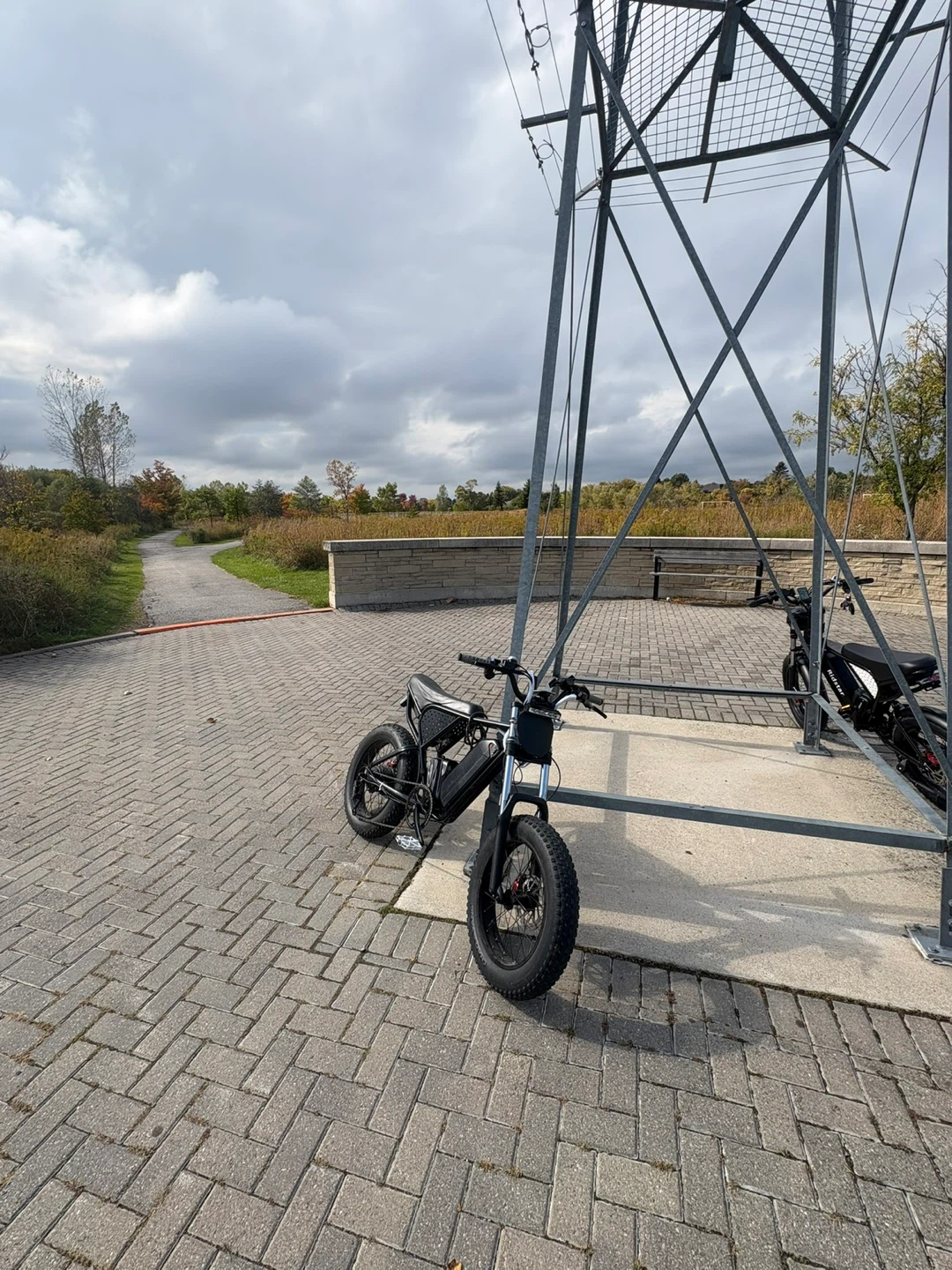 Ridstar q20 modded - photo 3