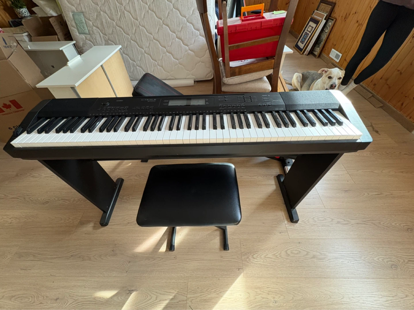 Casio Digital Piano with Bench