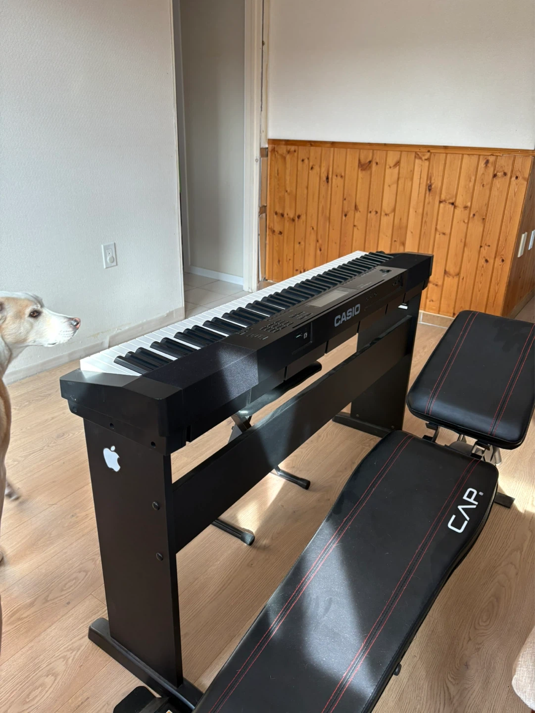 Casio Digital Piano with Bench - photo 2