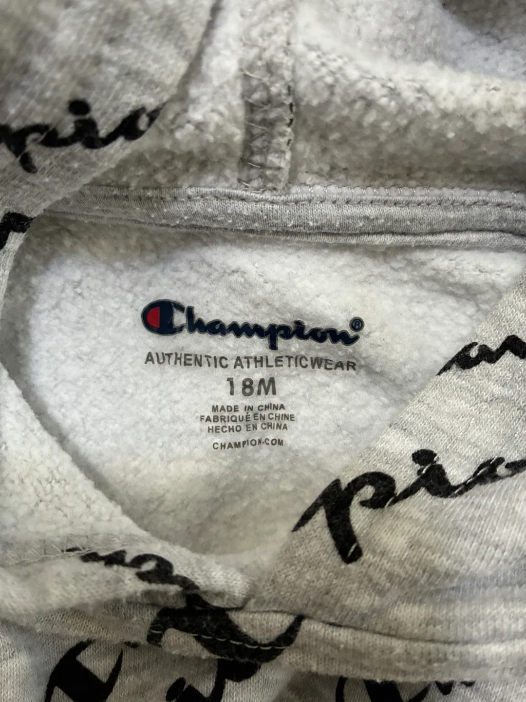 Champion Baby Boys 18 months Hoodie and Pants Set - 18M - photo 4