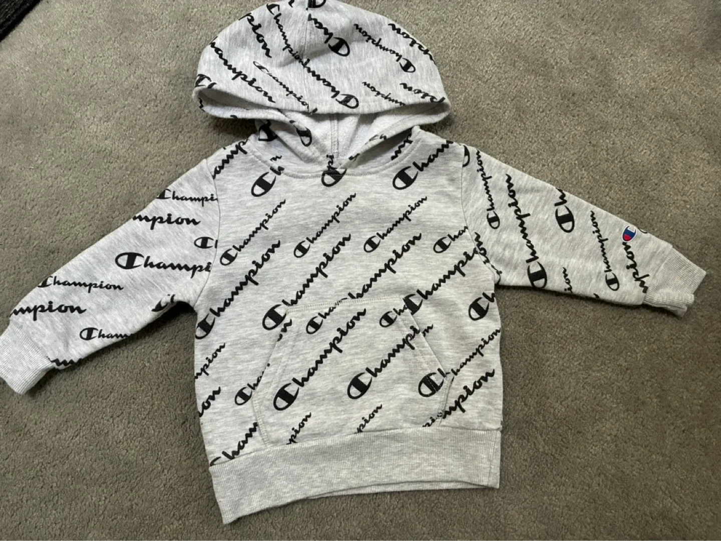 Champion Baby Boys 18 months Hoodie and Pants Set - 18M - photo 2