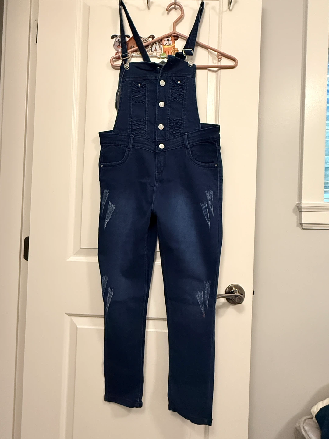 Dark Wash Denim Overalls