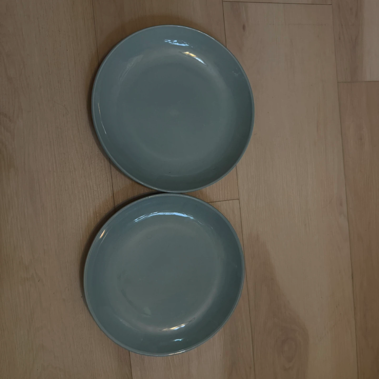 West Elm Blue Dinner Plates (Set of 2)