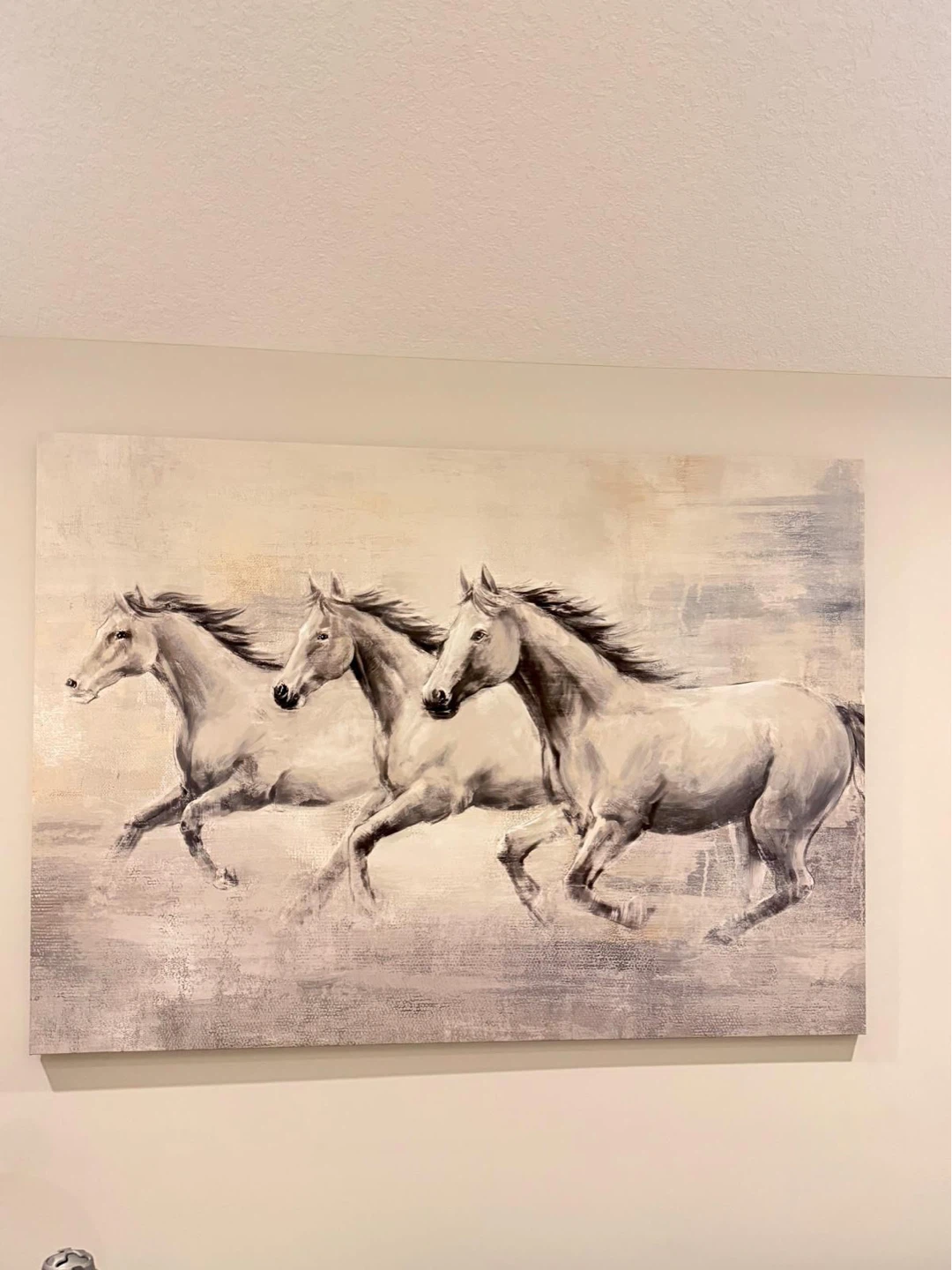 Canvas Wall Art - Three Running Horses - photo 2