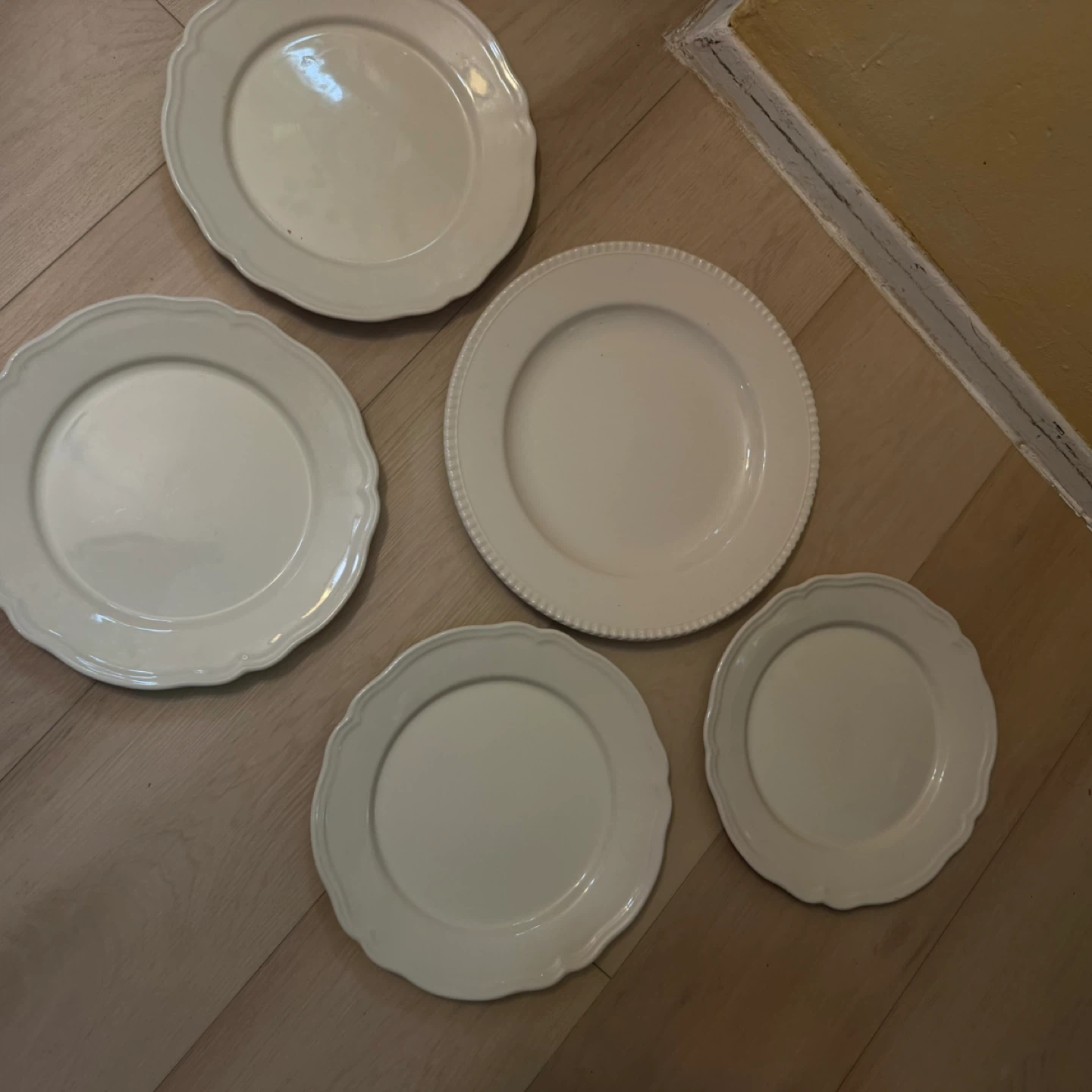 White Dinner Plates (Set of 5)