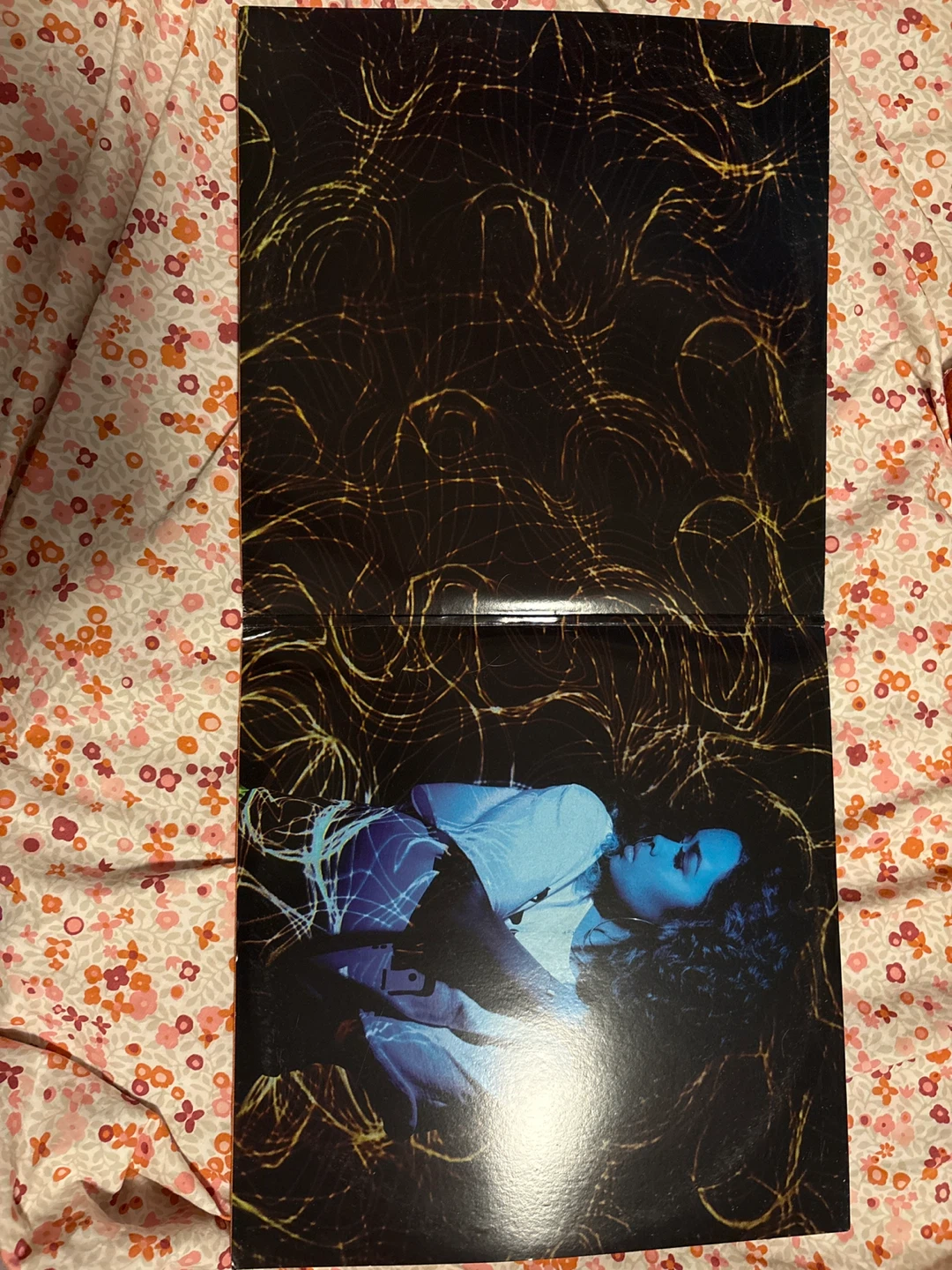 The Miseducation of Lauryn Hill Vinyl Record - photo 4