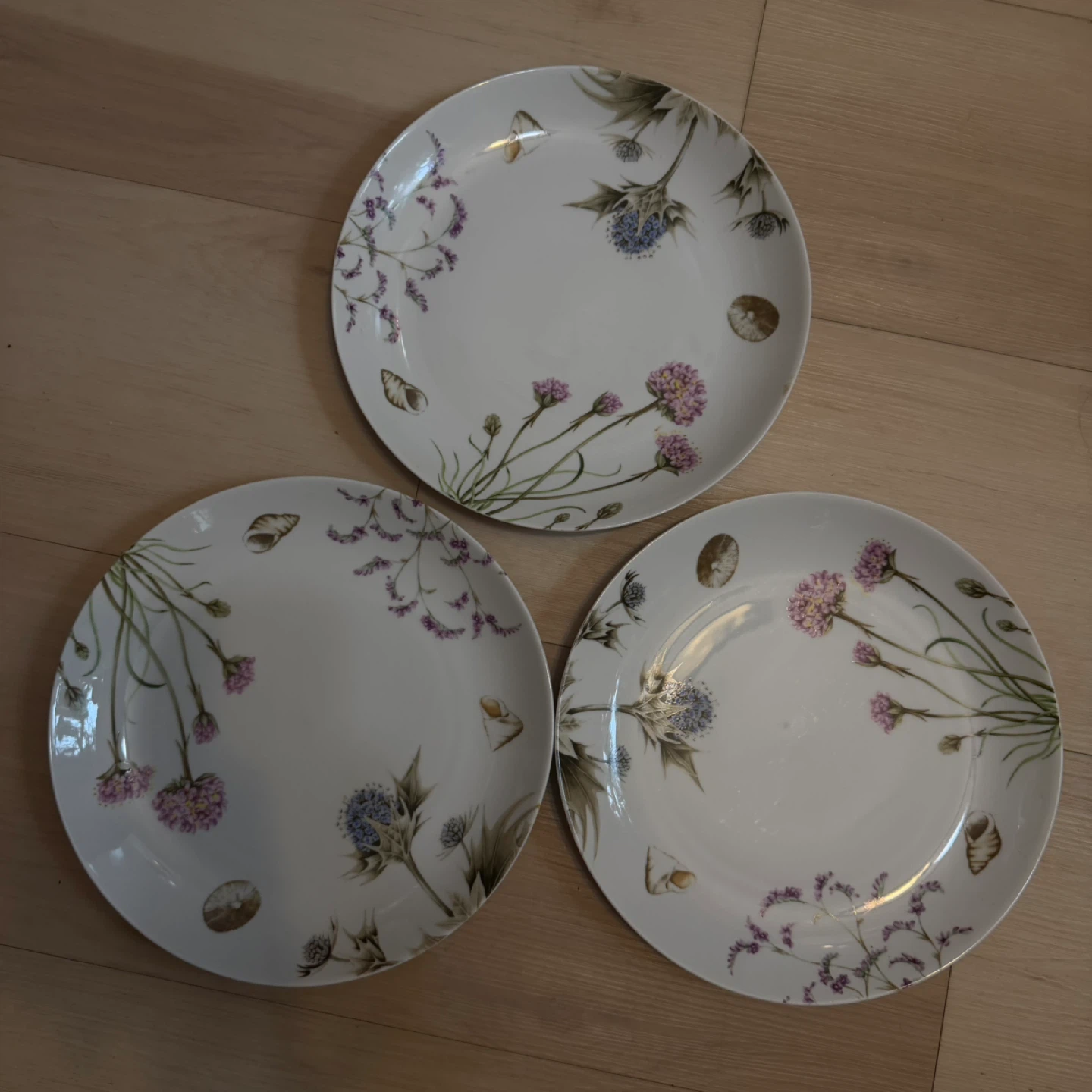 Shoreline Dune by Spode flower plates(set of 3)