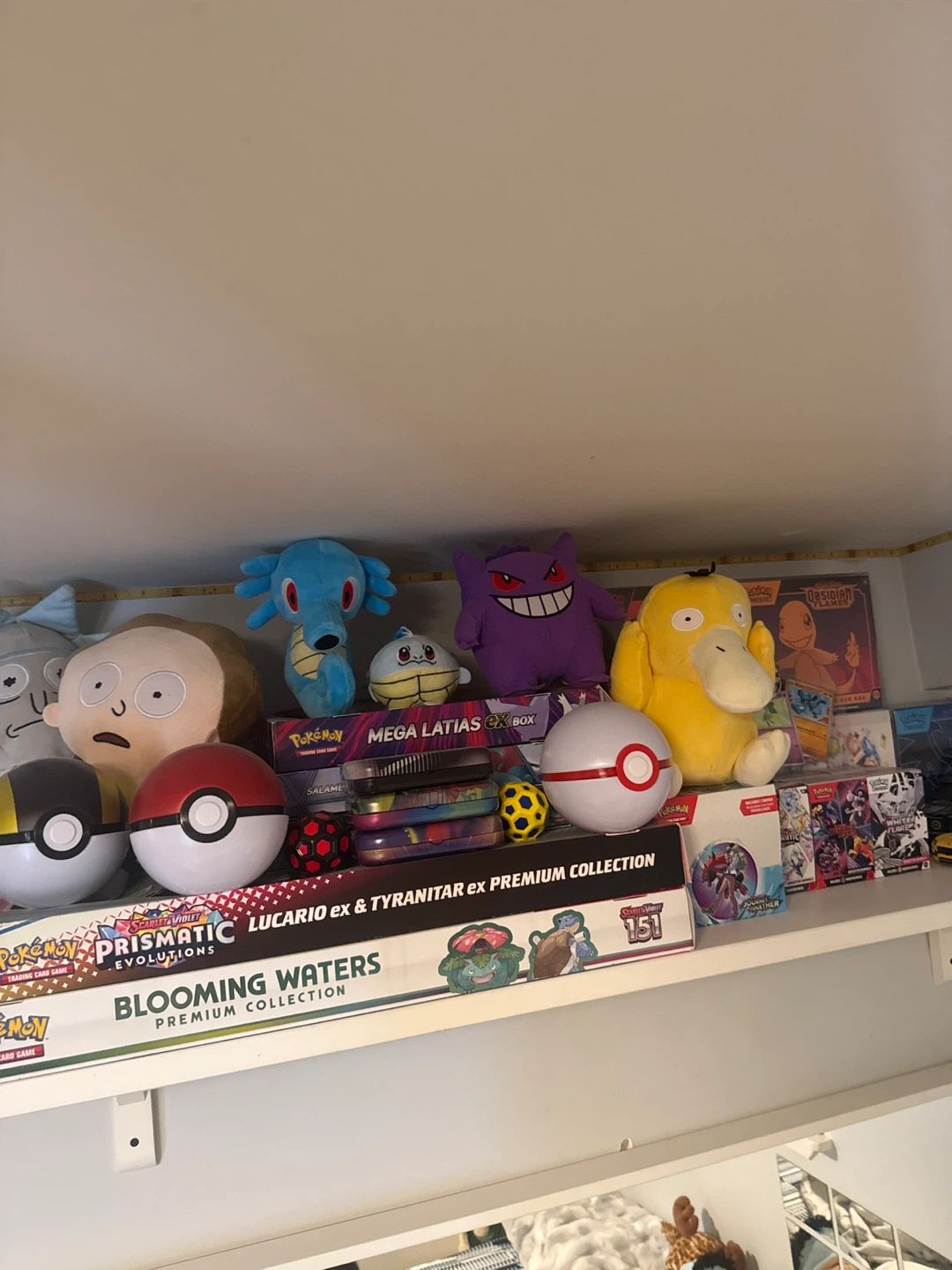 Pokemon Premium Collections & Plush Toys