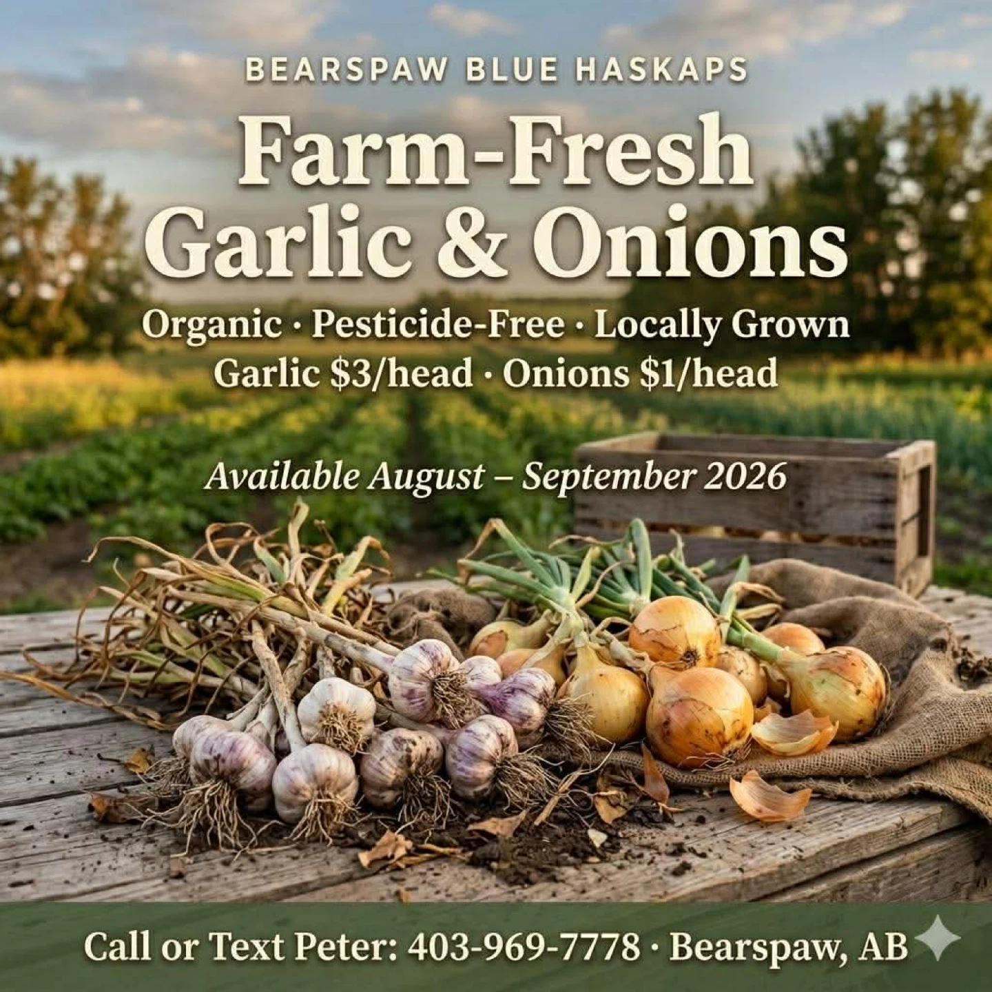 Farm-Fresh Organic Garlic & Onions — Bearspaw Family Farm