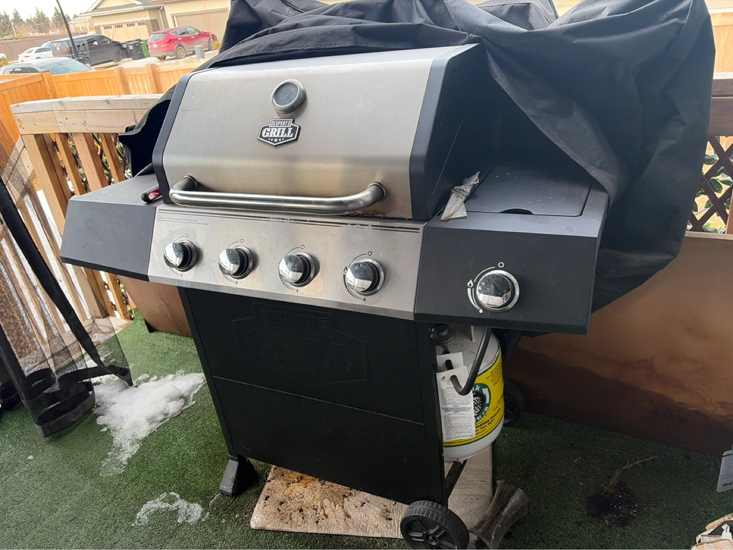 Expert Grill Propane BBQ